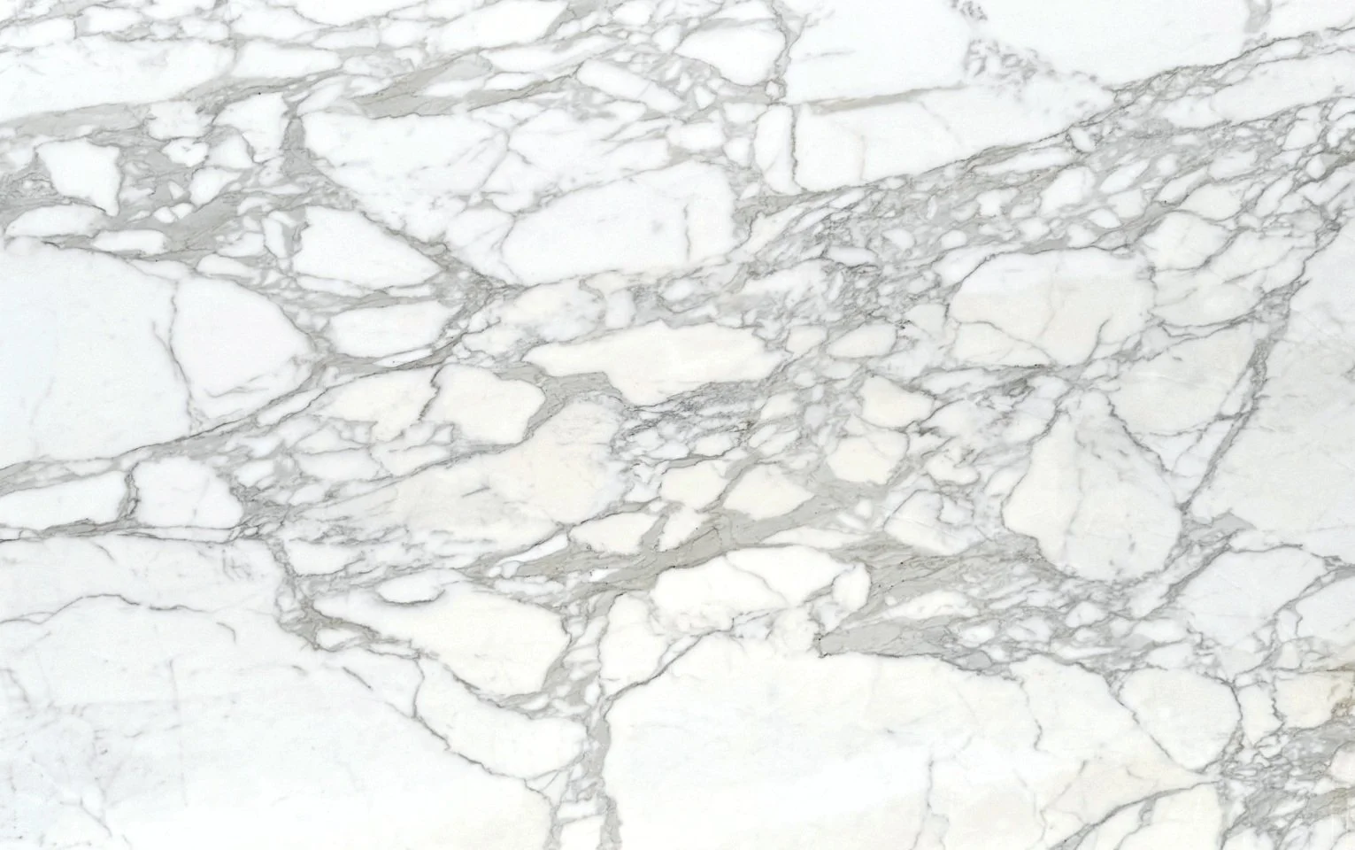 Calacatta Borghini Oro Honed 126x80 4731-17.jpg