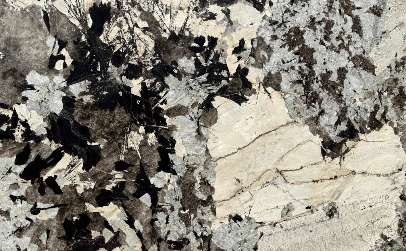 Paradonia Polished Quartzite Slab