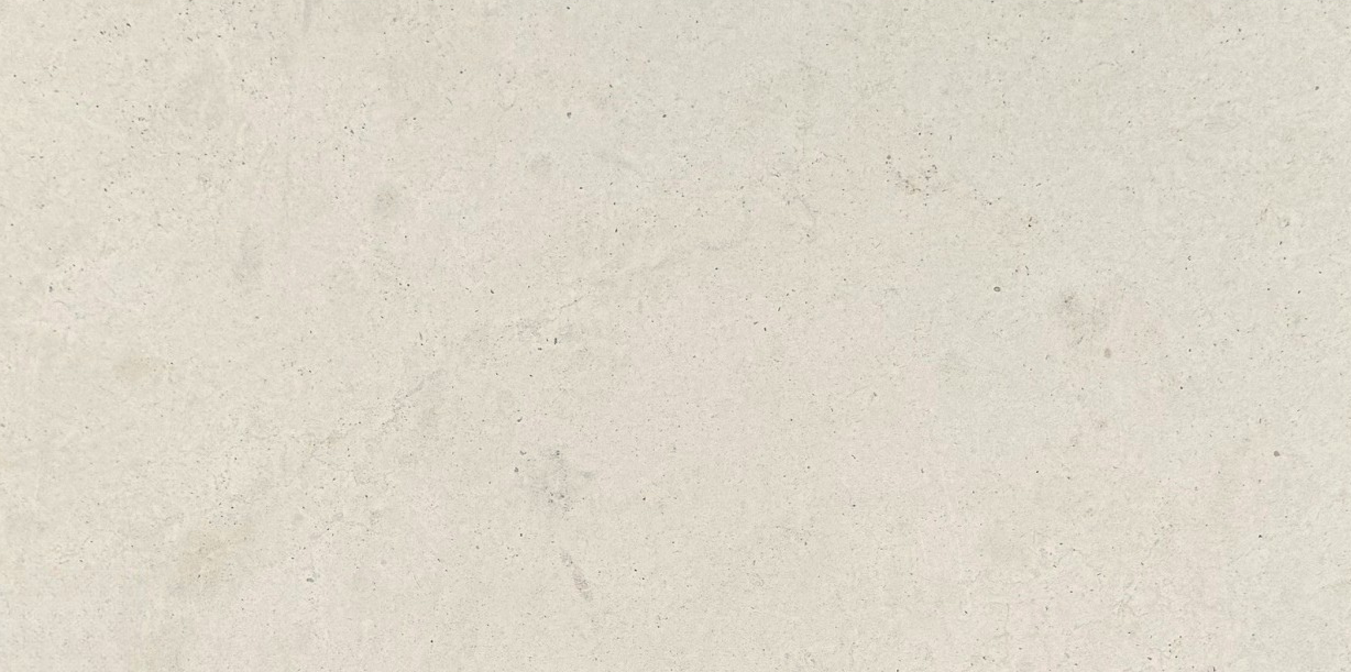 Monsanto Honed 24x48 (3) - Copy.png