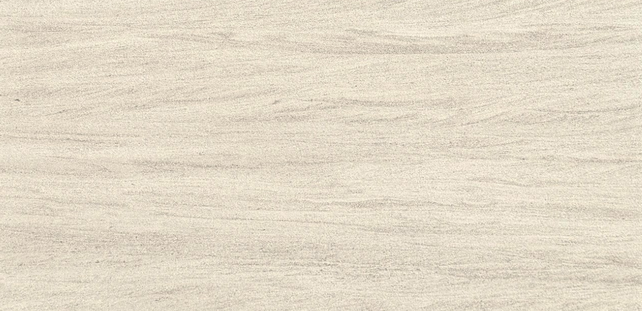 Moca Creme Brushed 24x48 - Copy (2).png