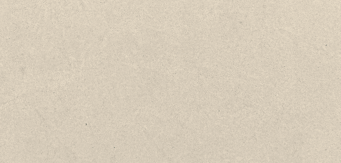 GiGi Brushed 24x48 Chiseled Edge - Close-up (3).png