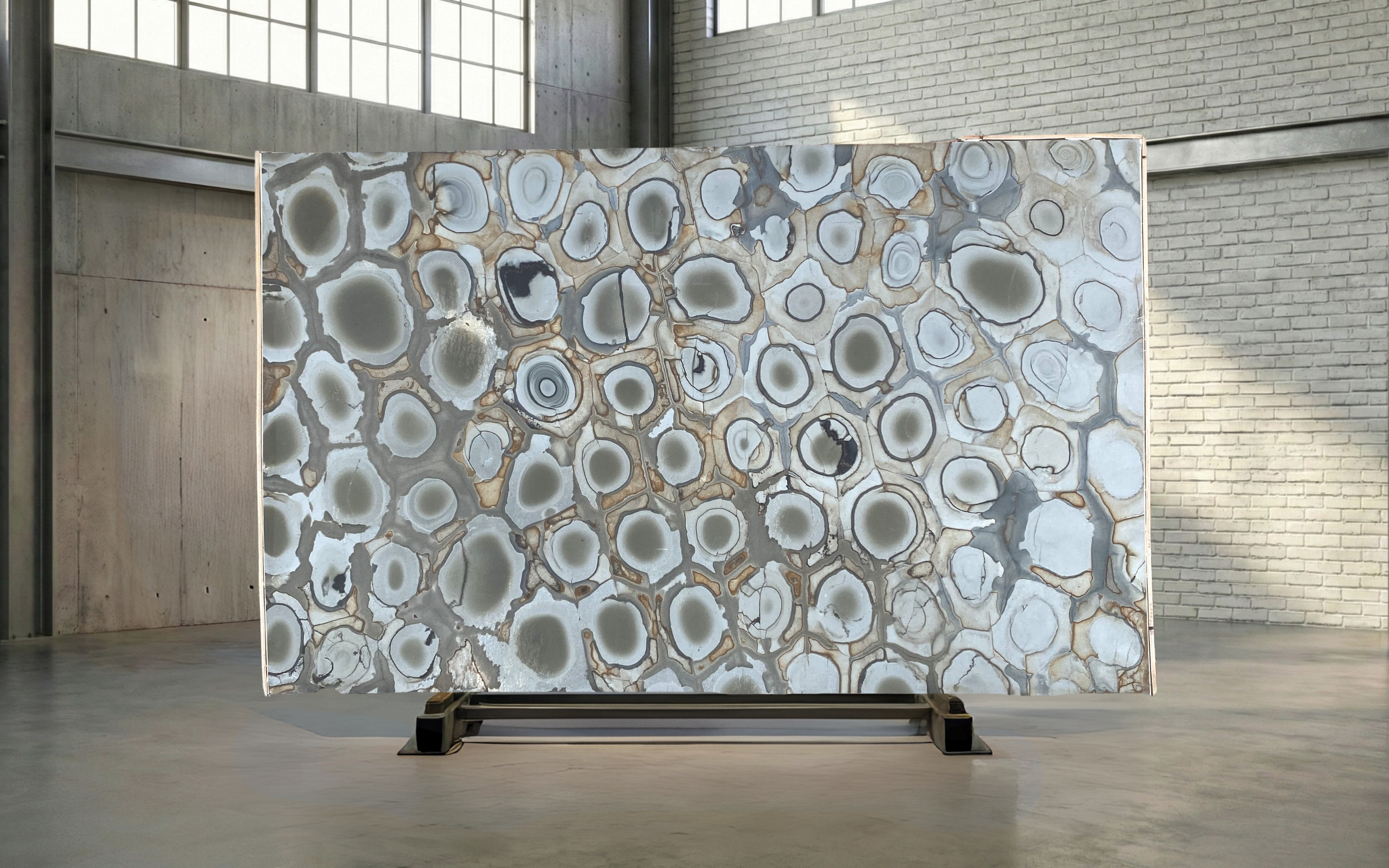 Fossil Leathered Quartzite