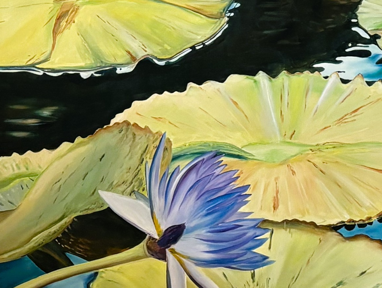 water lily.png