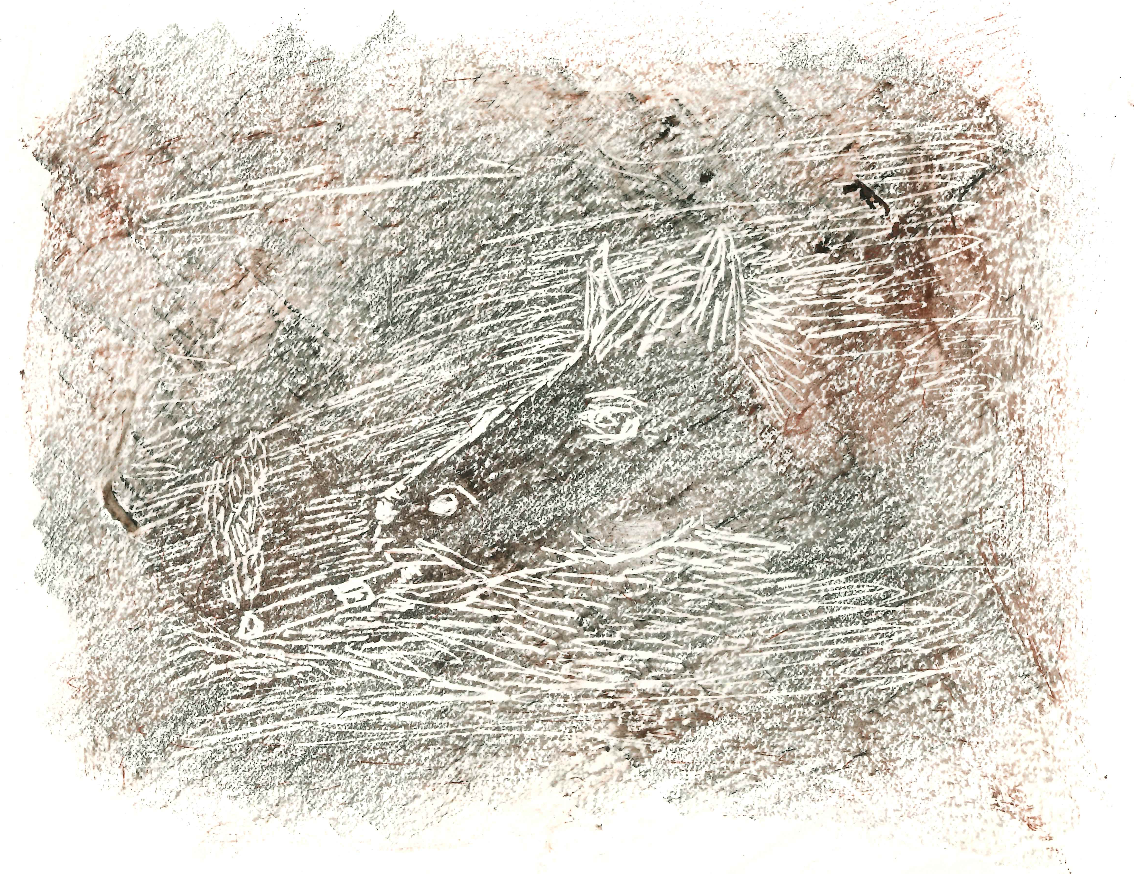 Screenshot 2026-01-09 at 11.10.50 AM.png