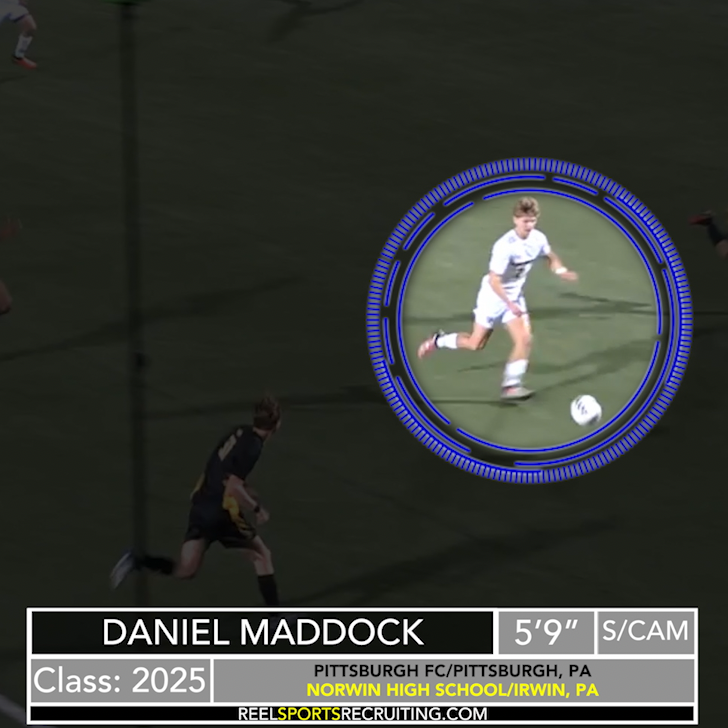 Fully Customizable.png