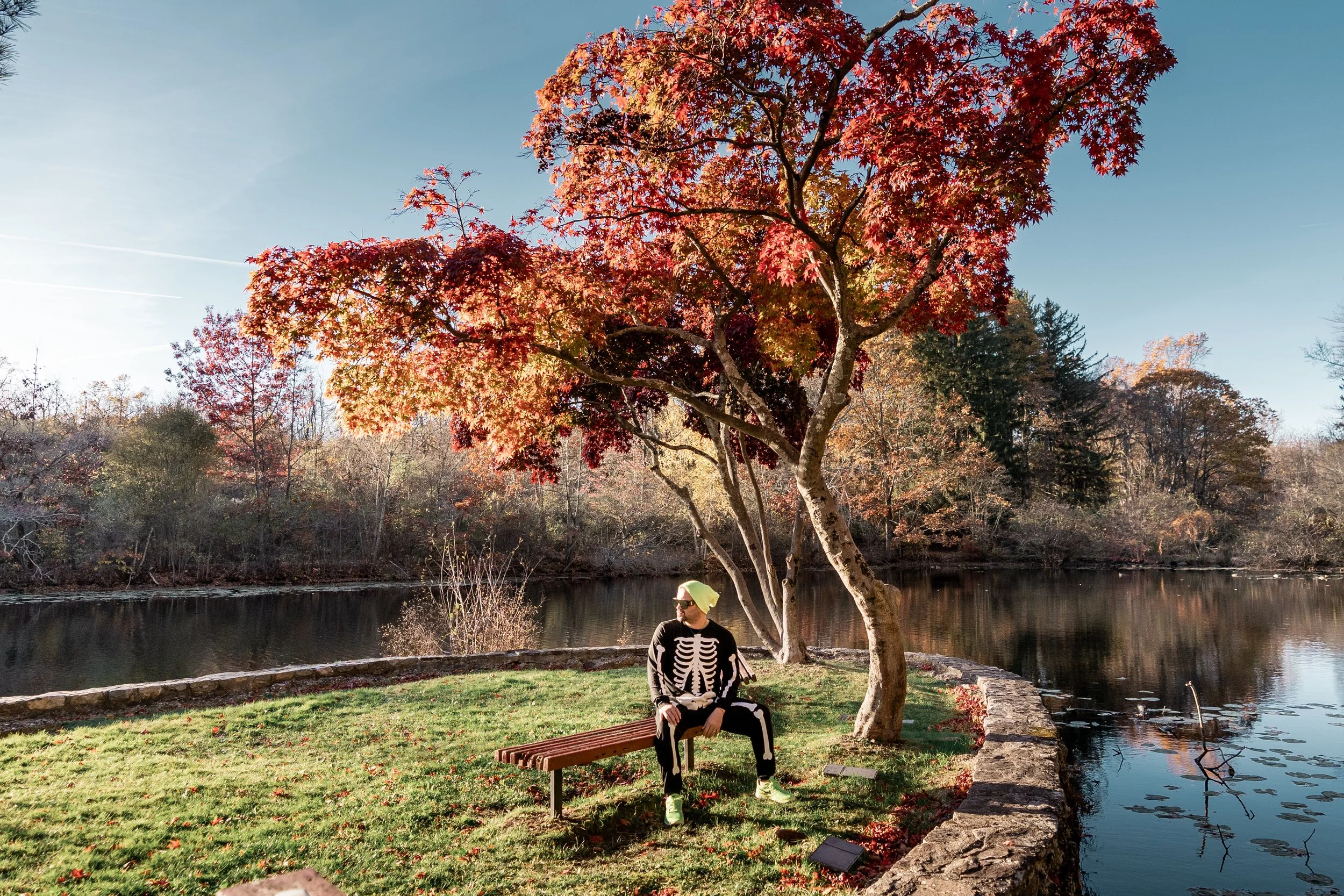 Person wearing a skeleton costume sitting on a bench beside a tree with red and orange fall foliage near a body of water under a clear blue sky.