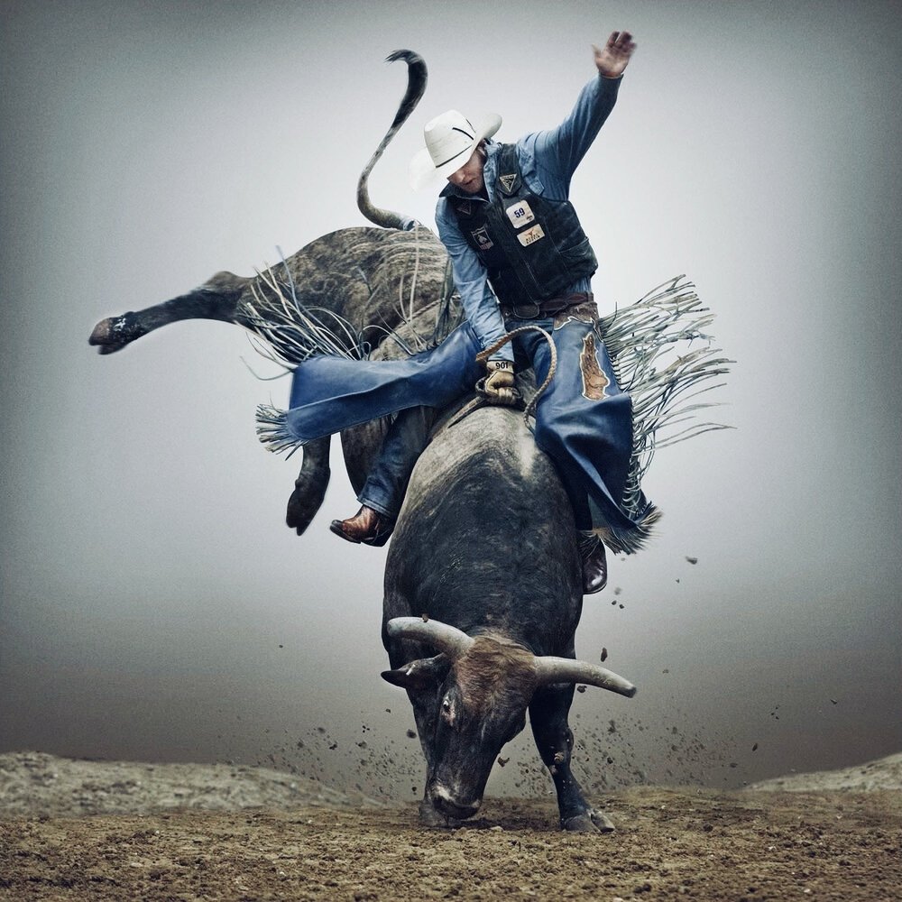 Friday Focus: The Importance of Courage
