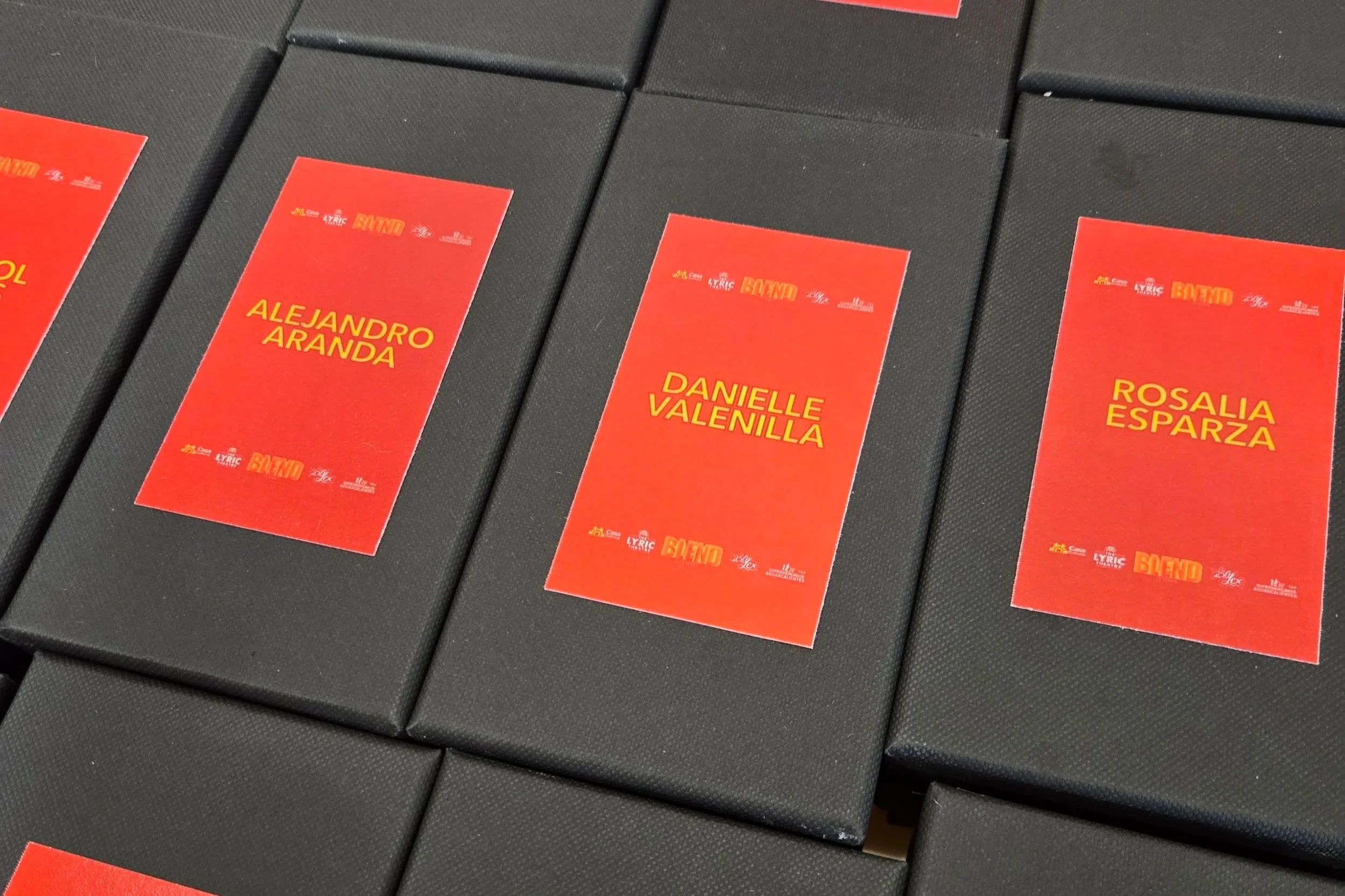 A group of black boxes with red labels. The label has gold text that reads, "Danielle Valenilla" with logos from sponsors