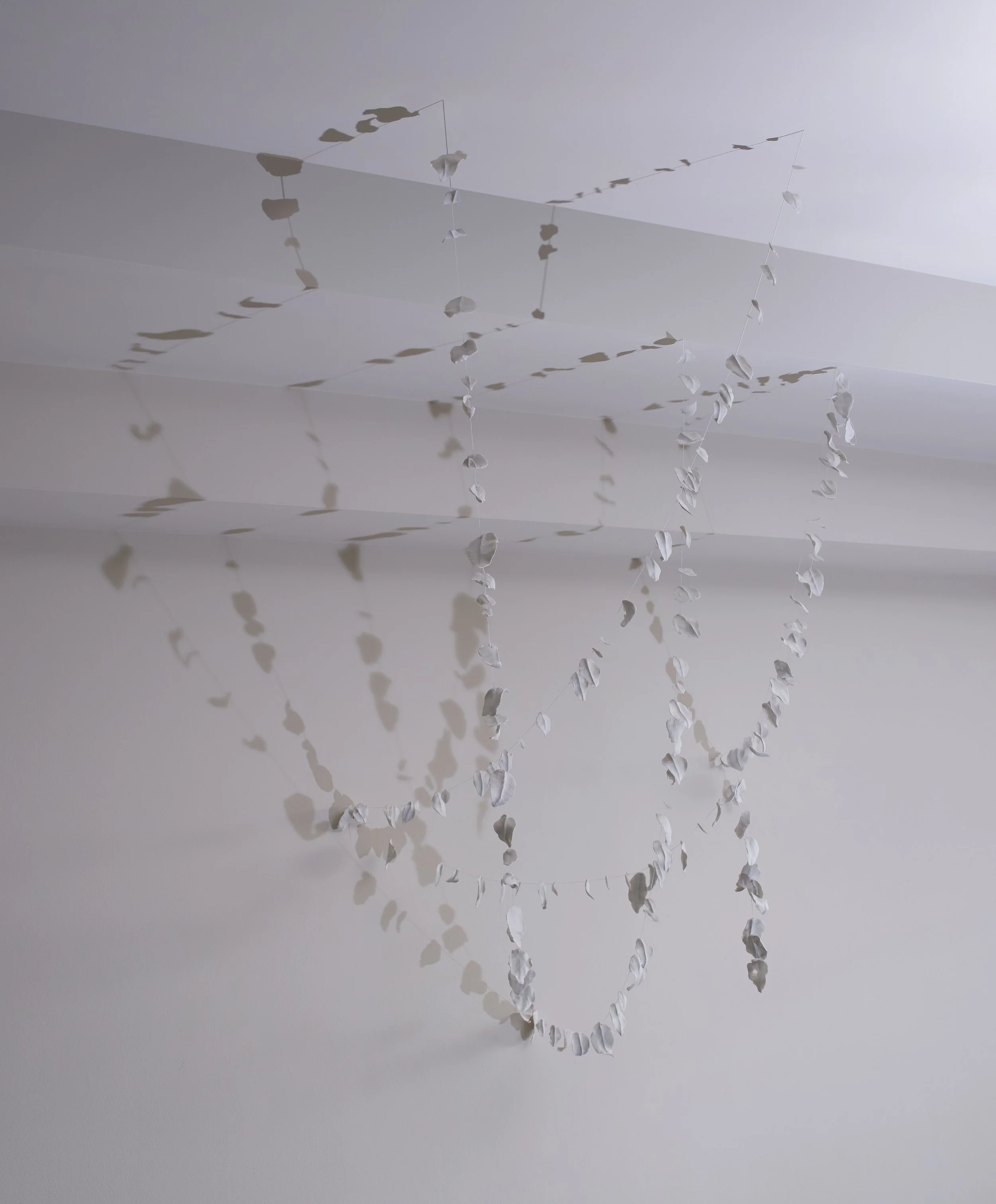 Forever growing stone full.jpg