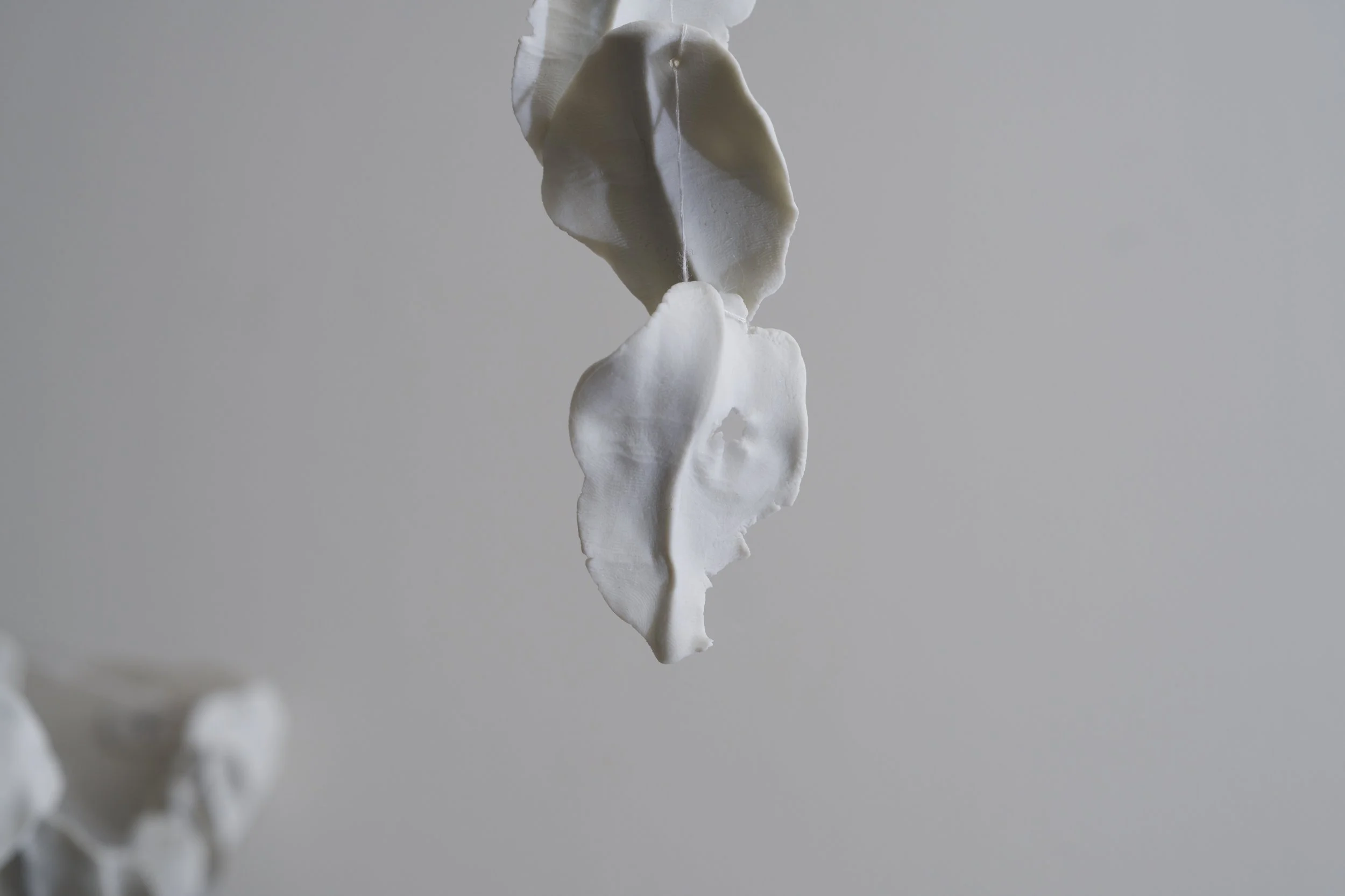 Forever Growing Stone