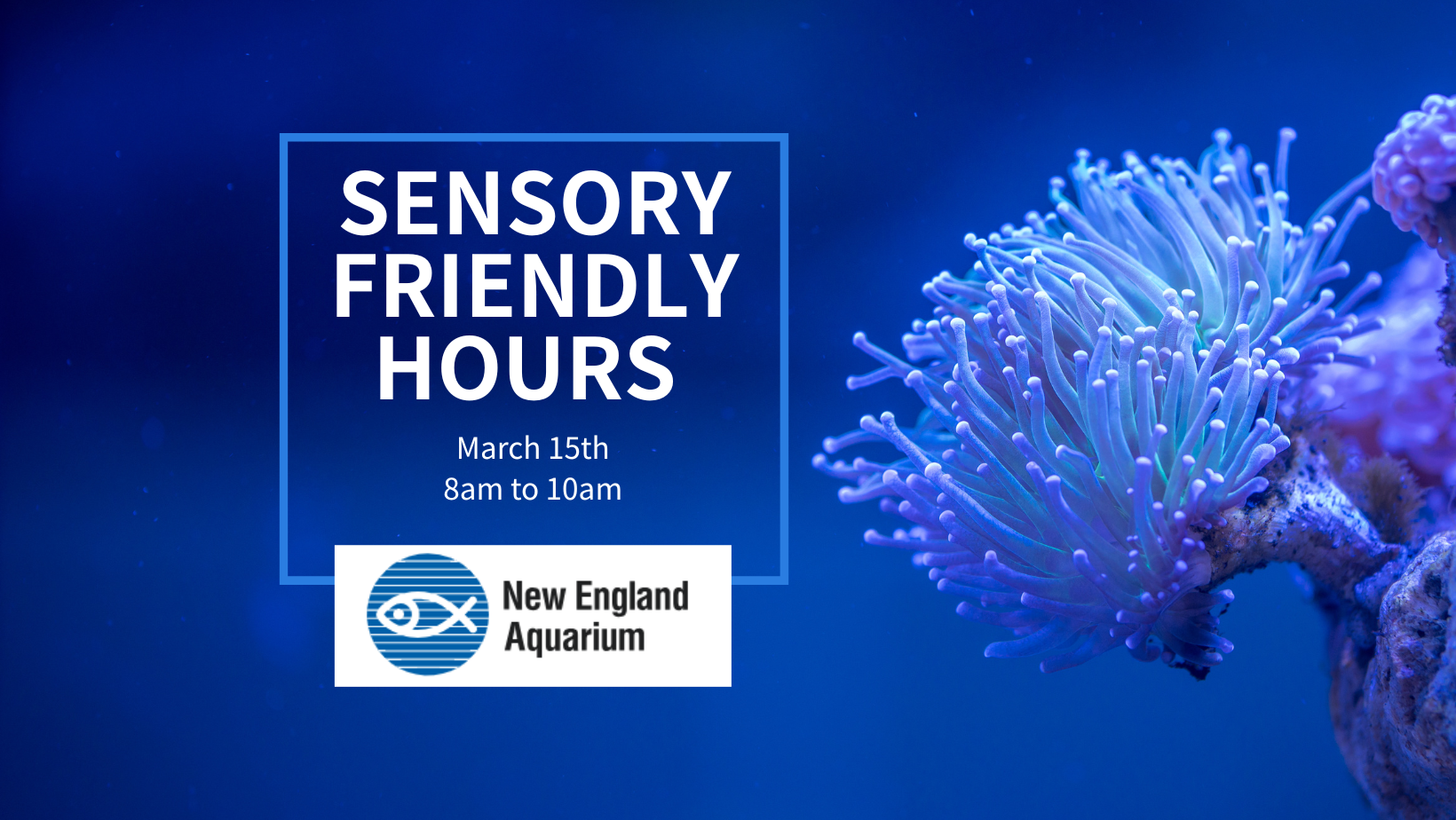 New England Aquarium Sensory Friendly Hours