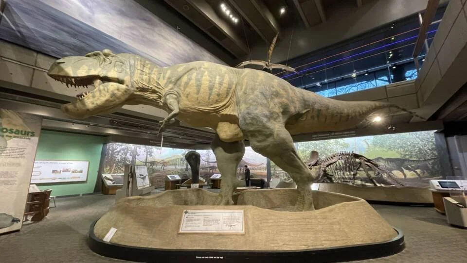 Boston Museum of Science Sensory Friendly Event