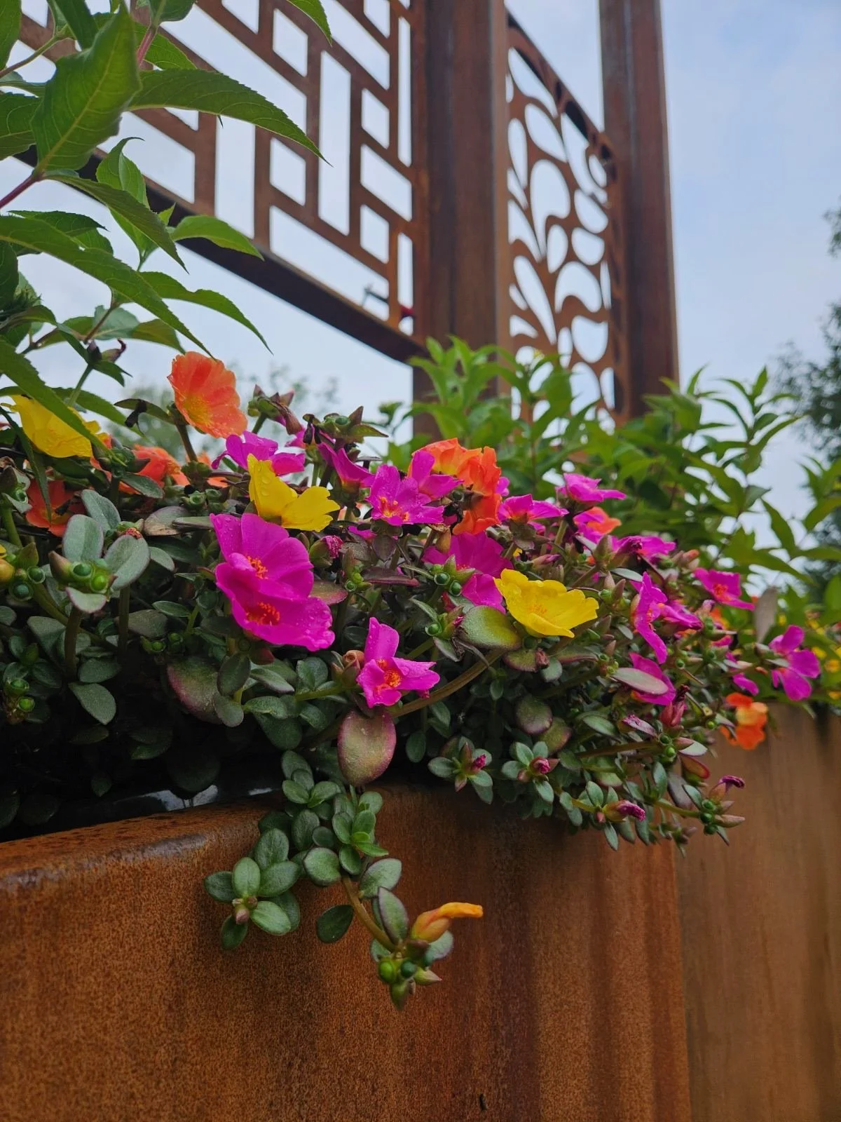 Photo Apr 06 2026, 9 37 37 AM (4).jpg