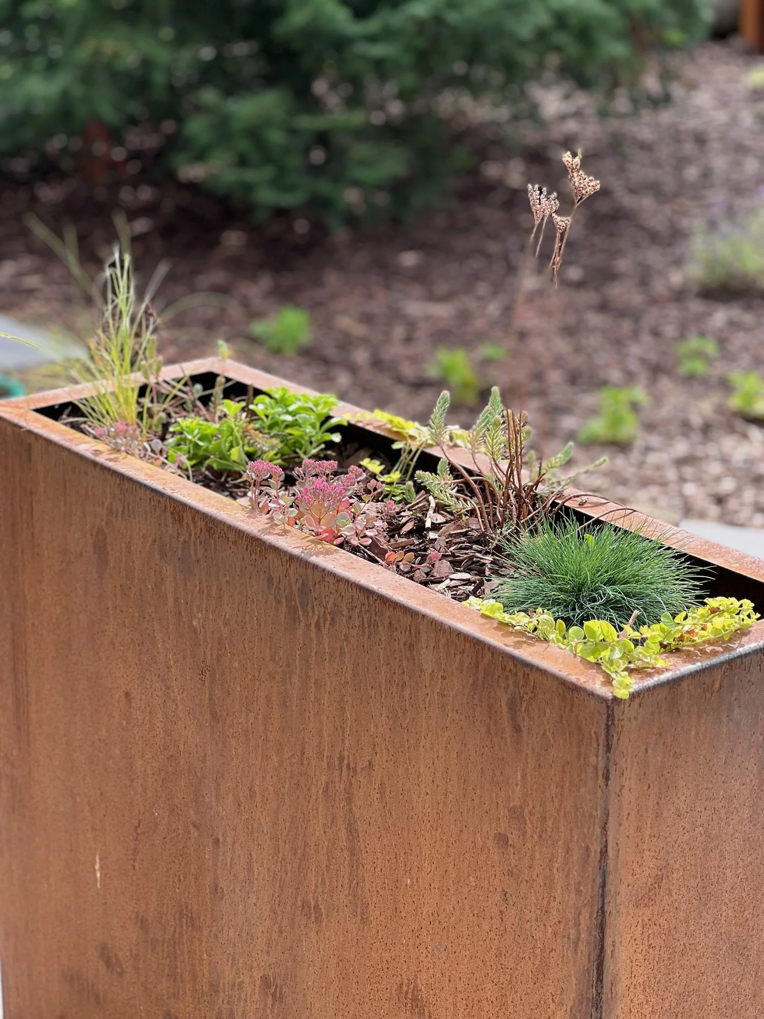 Photo Aug 26 2024, 10 46 57 AM.jpg