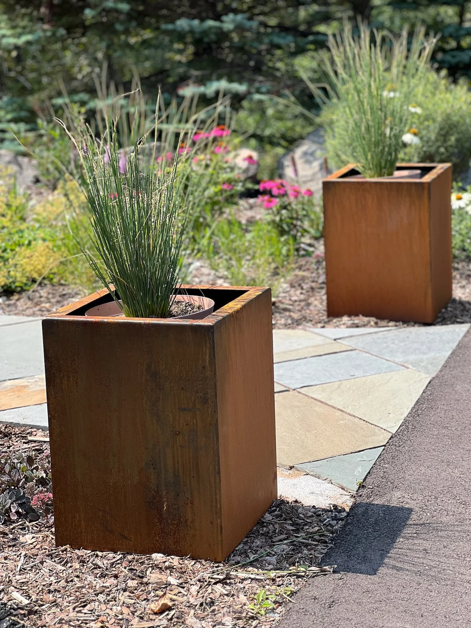 Photo Aug 19 2024, 1 08 49 PM.jpg