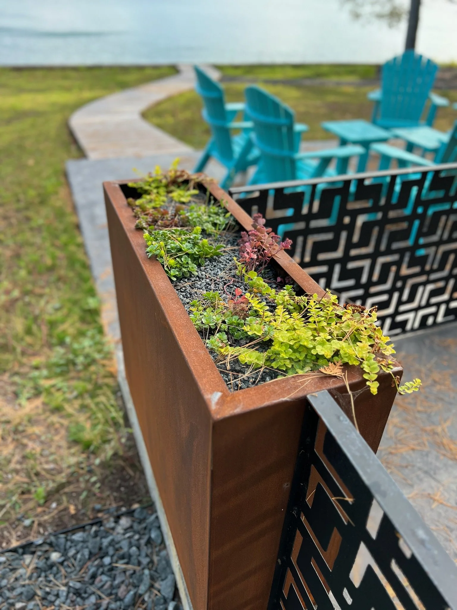 Photo Oct 06 2023, 3 55 49 PM.jpg