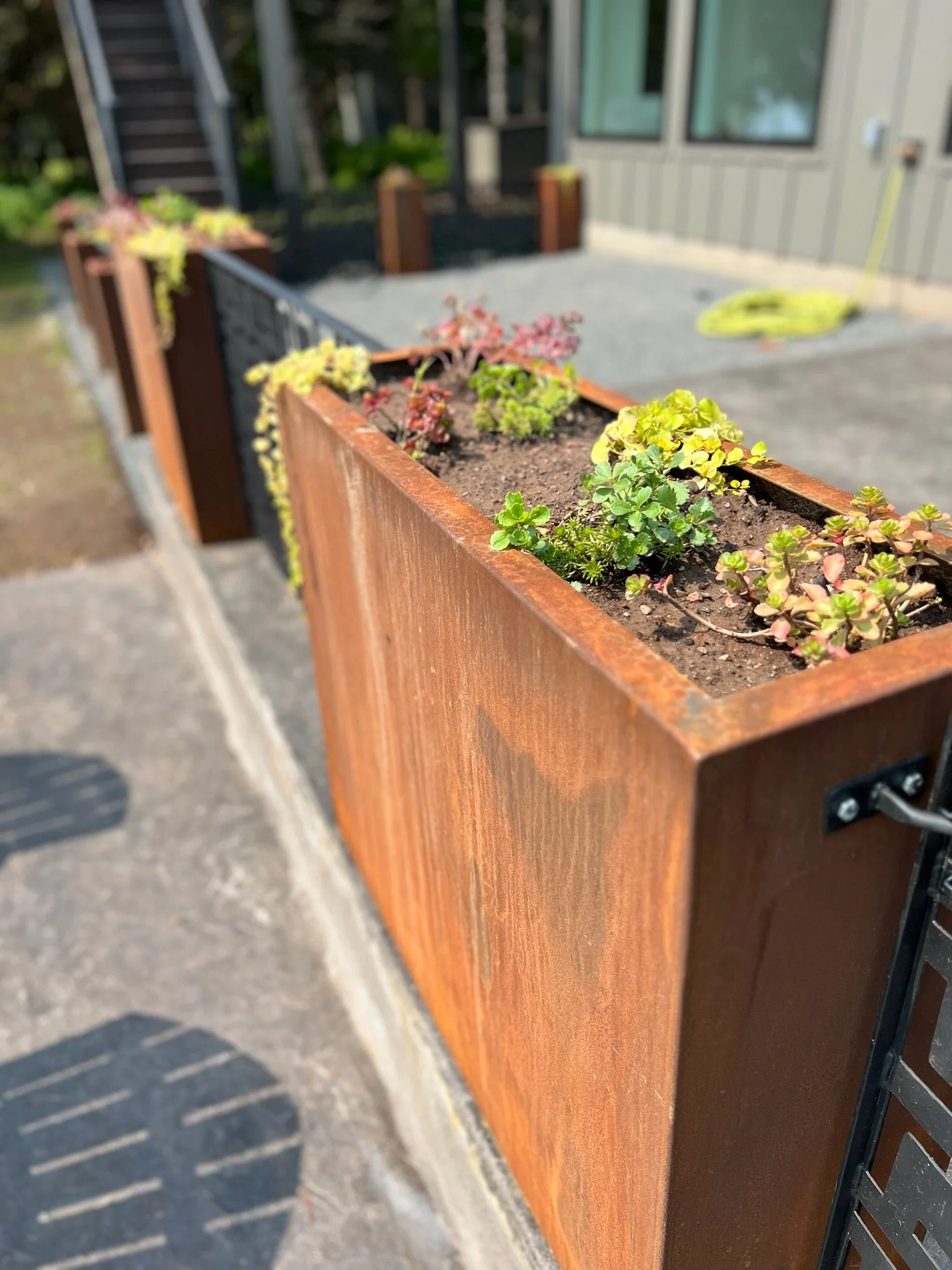 Photo Aug 17 2023, 12 38 47 PM.jpg