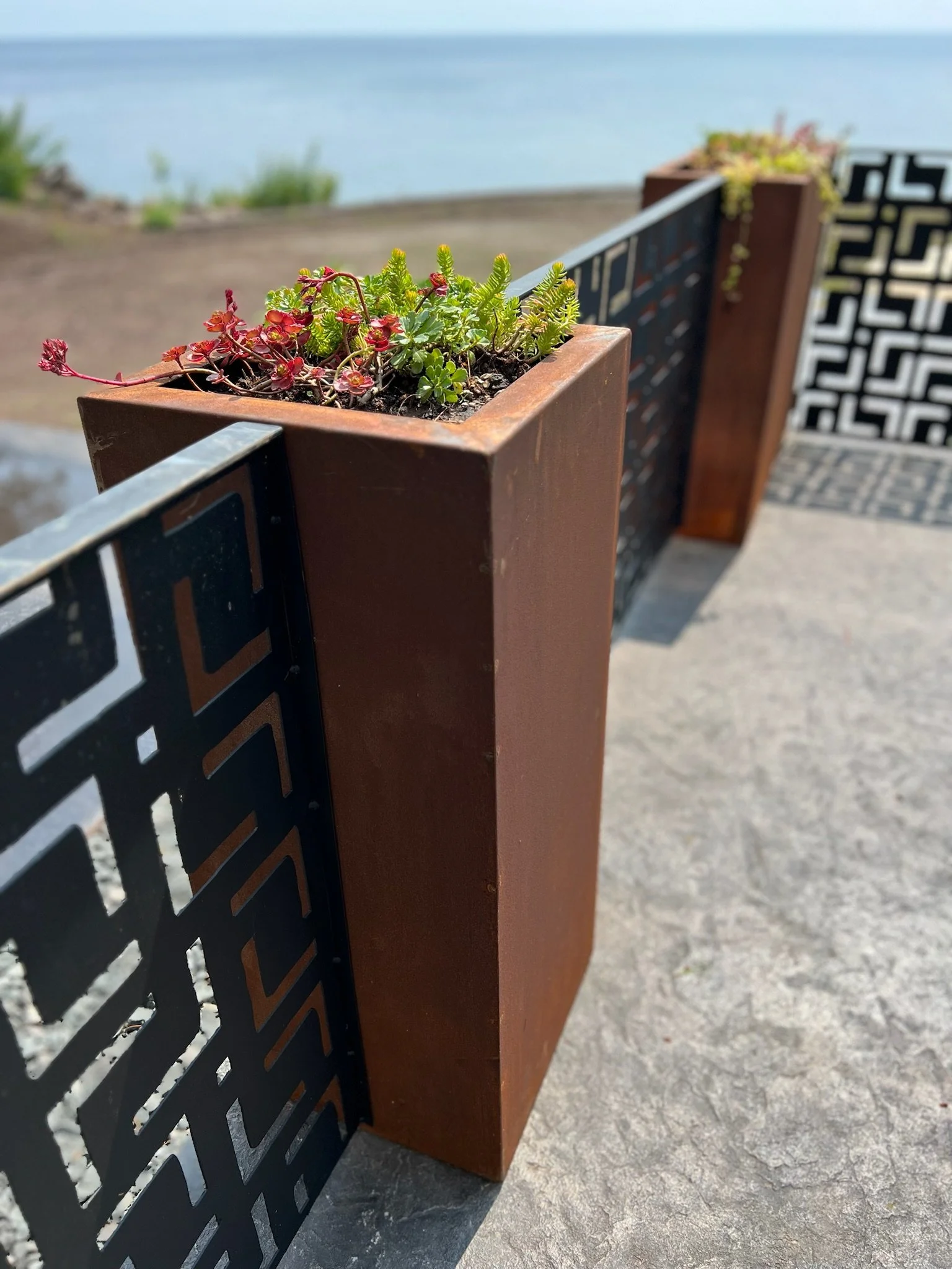 Photo Aug 17 2023, 12 38 25 PM (1).jpg