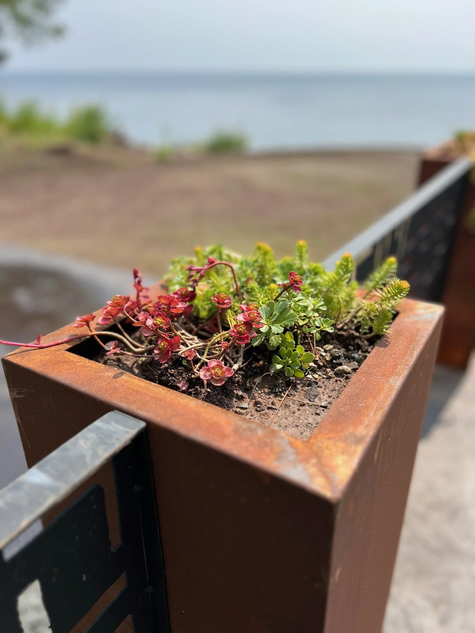 Photo Aug 17 2023, 12 38 17 PM.jpg