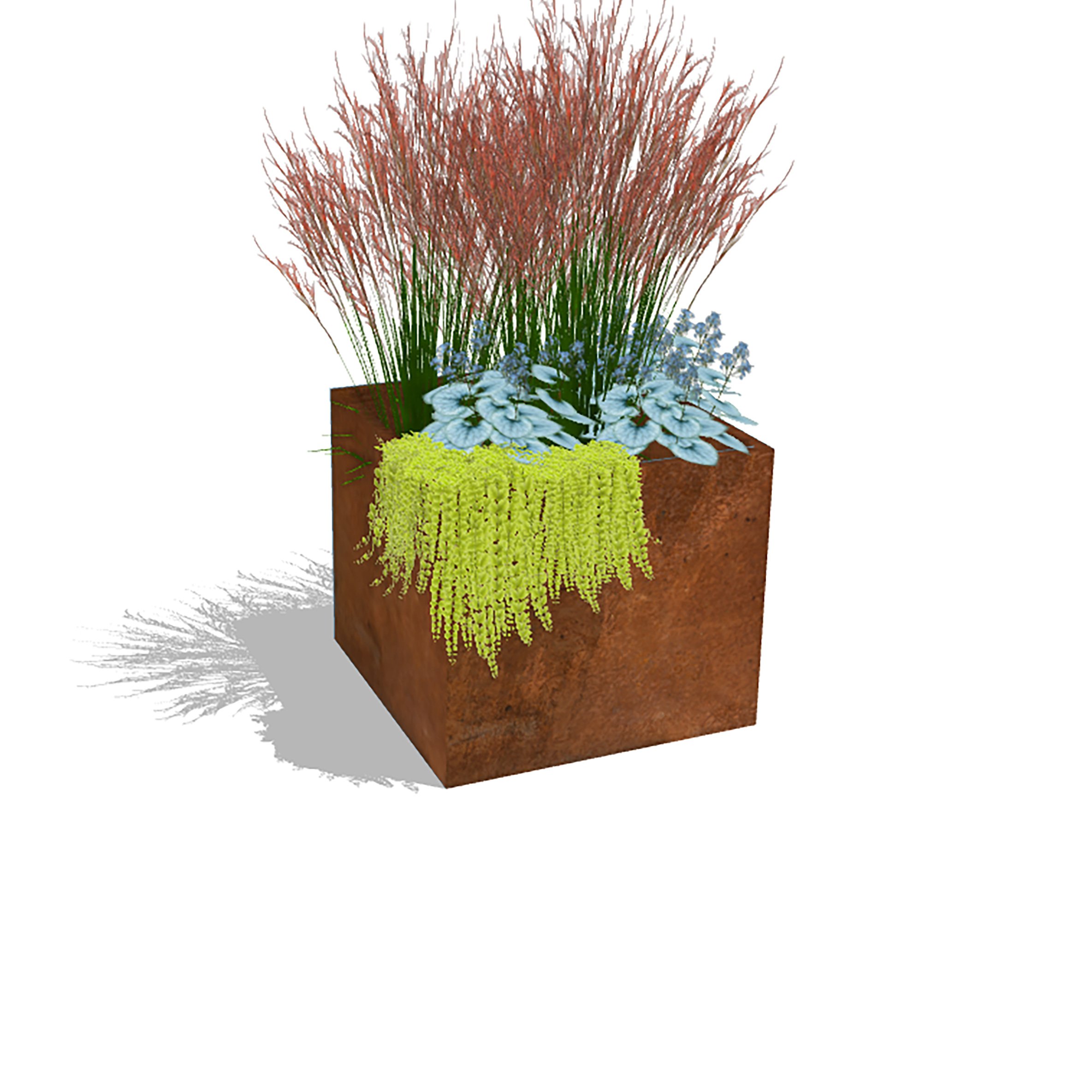 Planter-box-24x21x24-web-plant.jpg