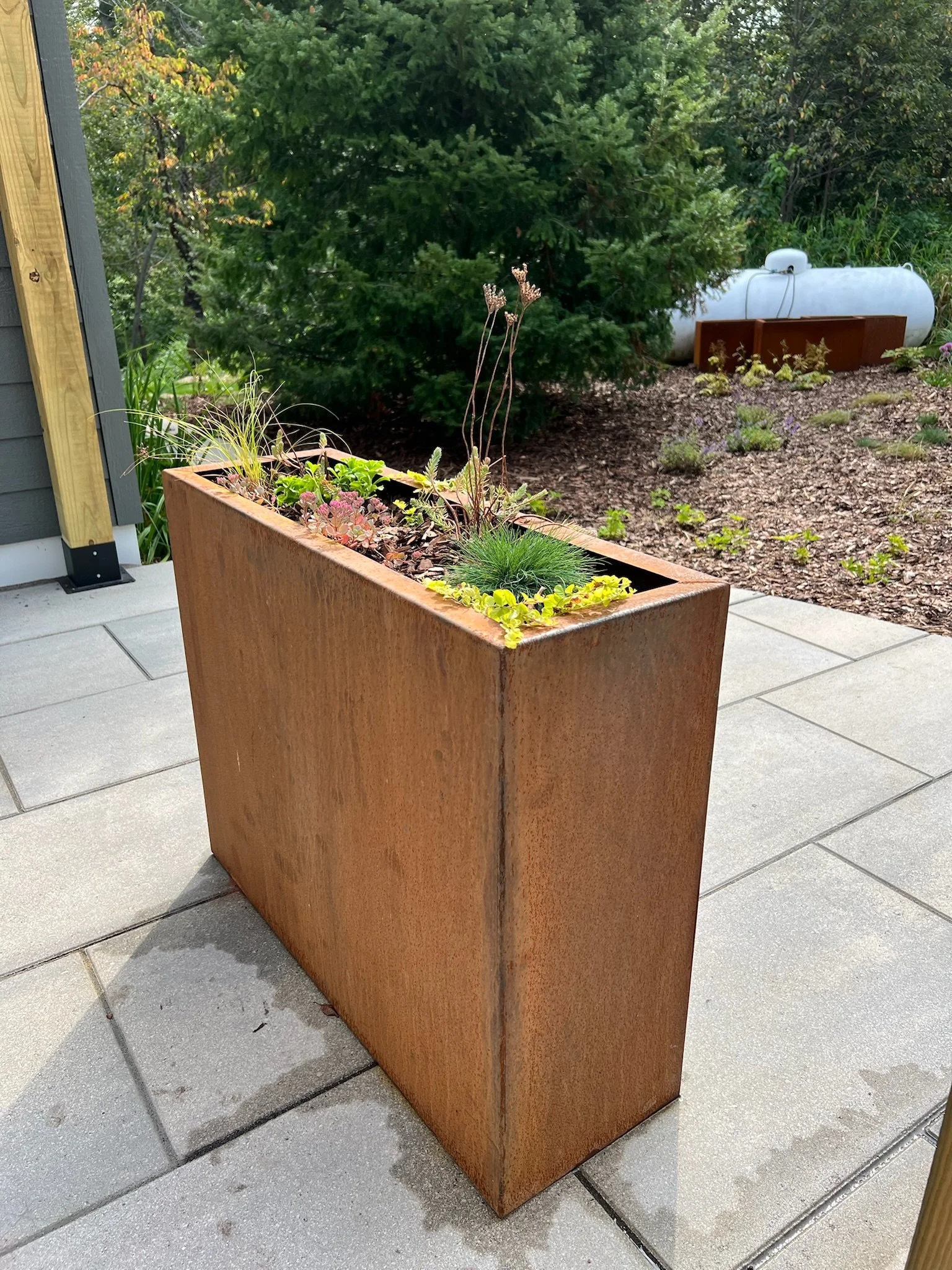 Photo Aug 26 2024, 10 46 49 AM.jpg