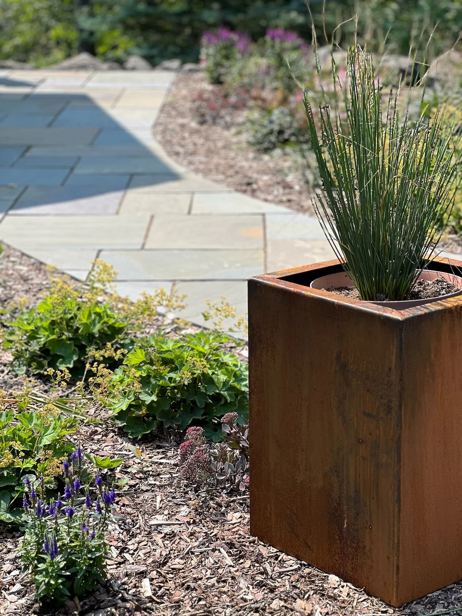 Photo Aug 19 2024, 1 08 44 PM.jpg