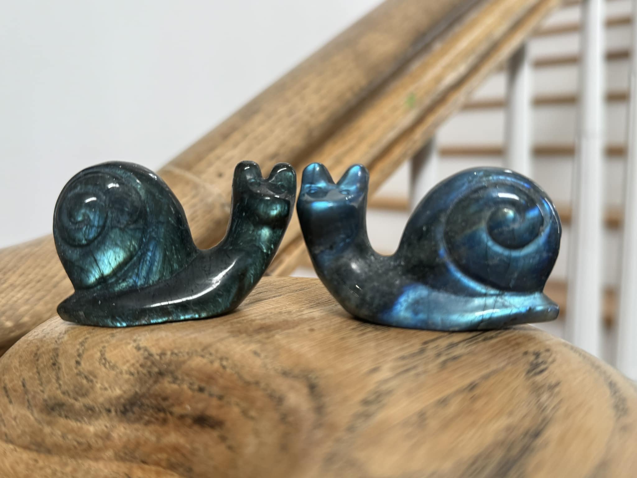 Labradorite Snails