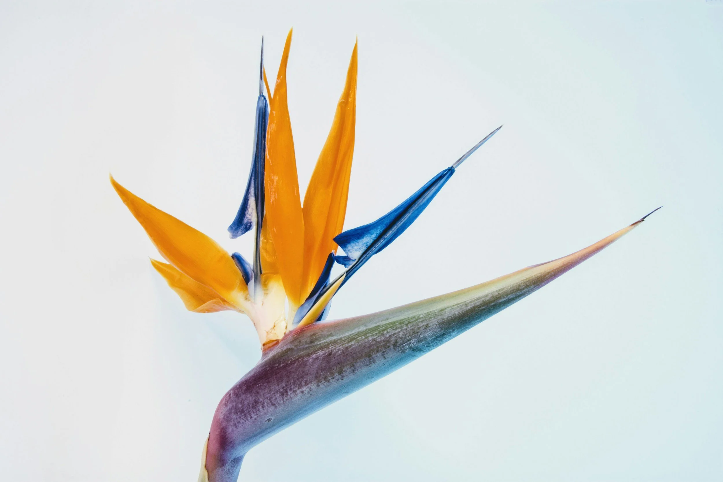 Ketamine-Assisted Psychotherapy as a Catalyst for Change