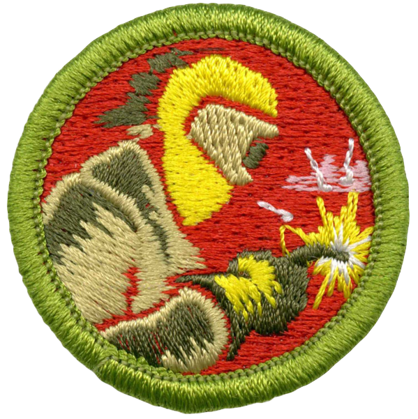 Embroidered patch of a mascot or creature with a yellow comb and sharp teeth, against a red background with green border