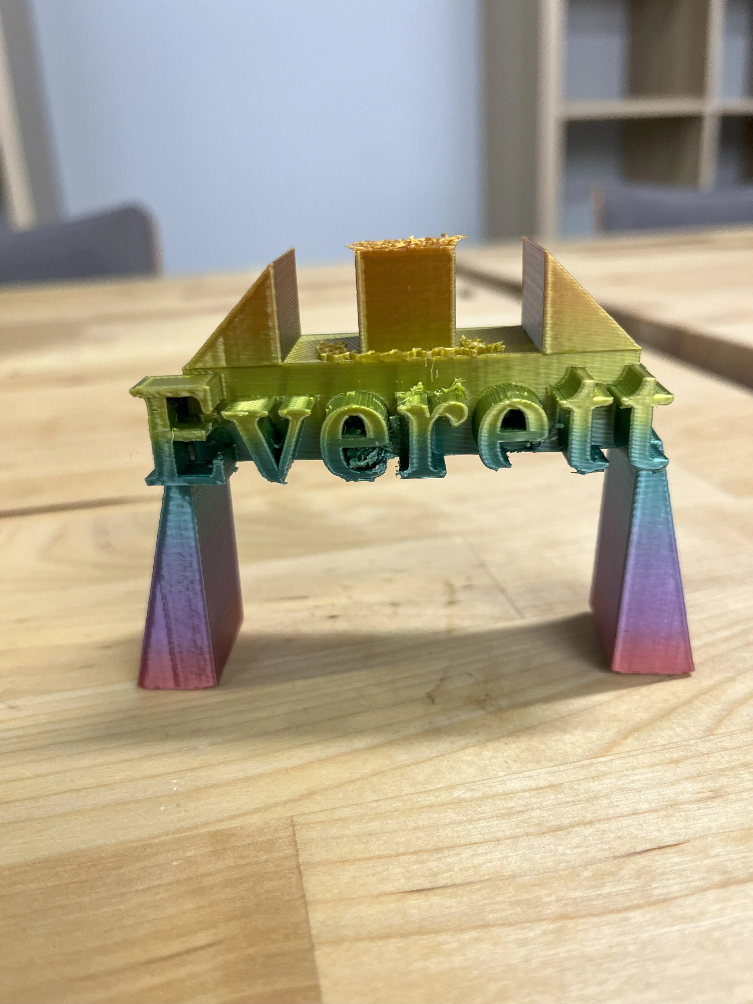2 Day 3-D Printing Camp