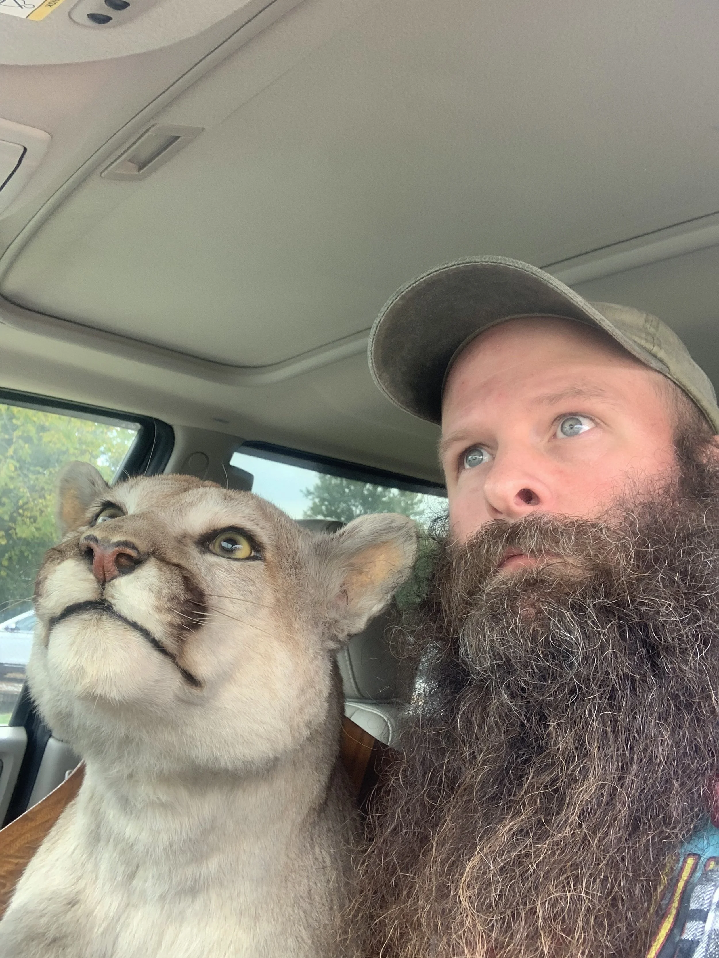 Homesteading And The Tug of War Between Time And Money