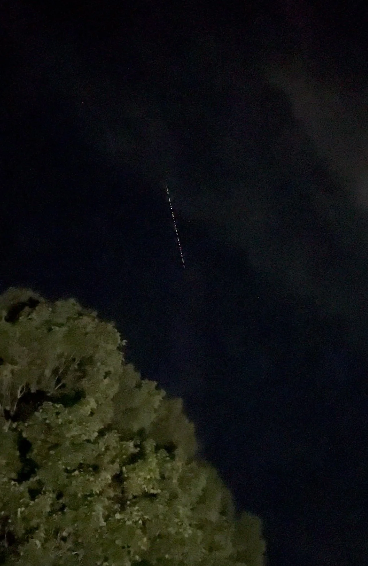 Breaking News From The Homestead: UFO Sighting