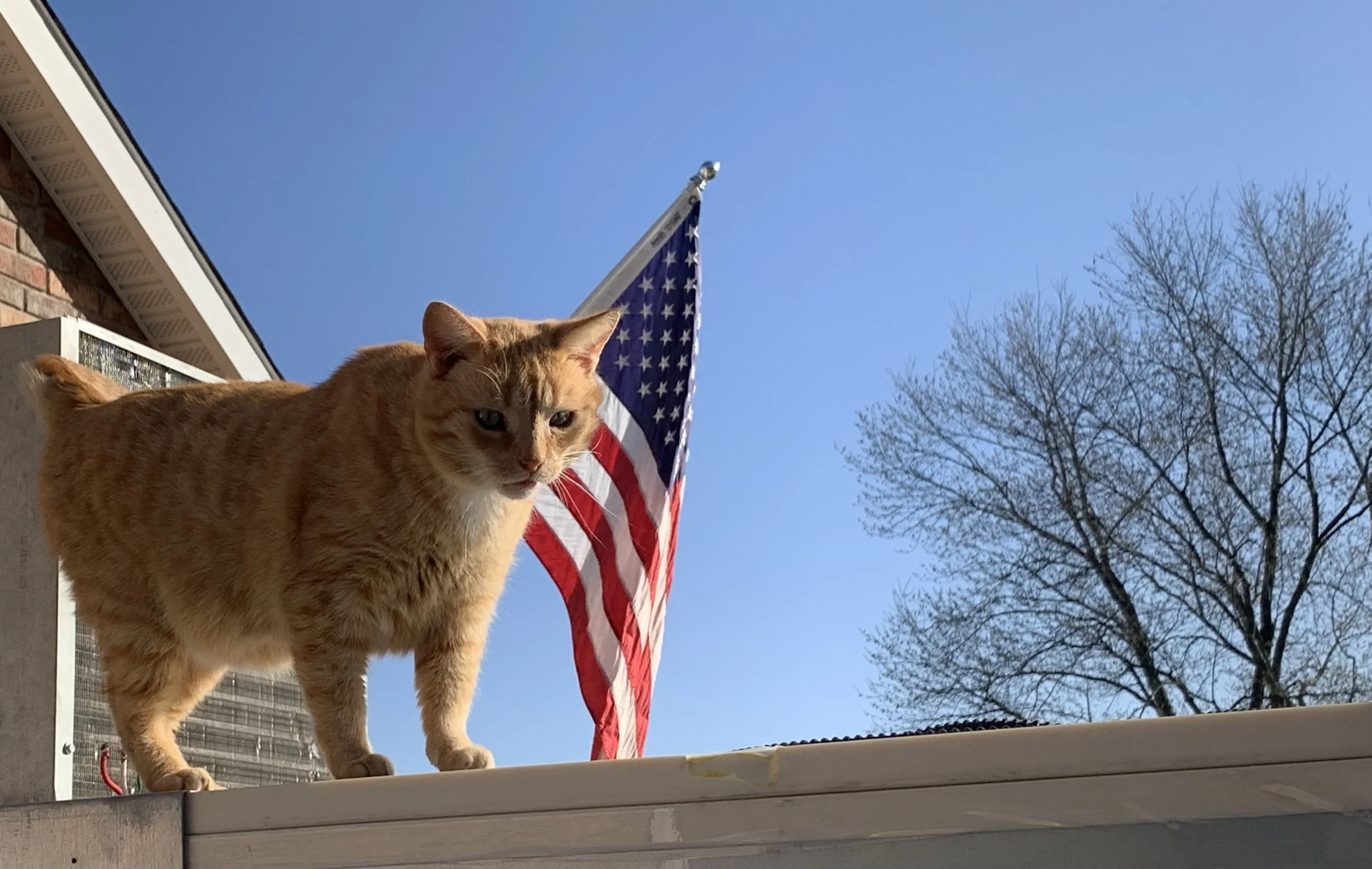 A Memorial Day Challenge: Remembering Fallen Heroes And Getting My Ass Back In Shape