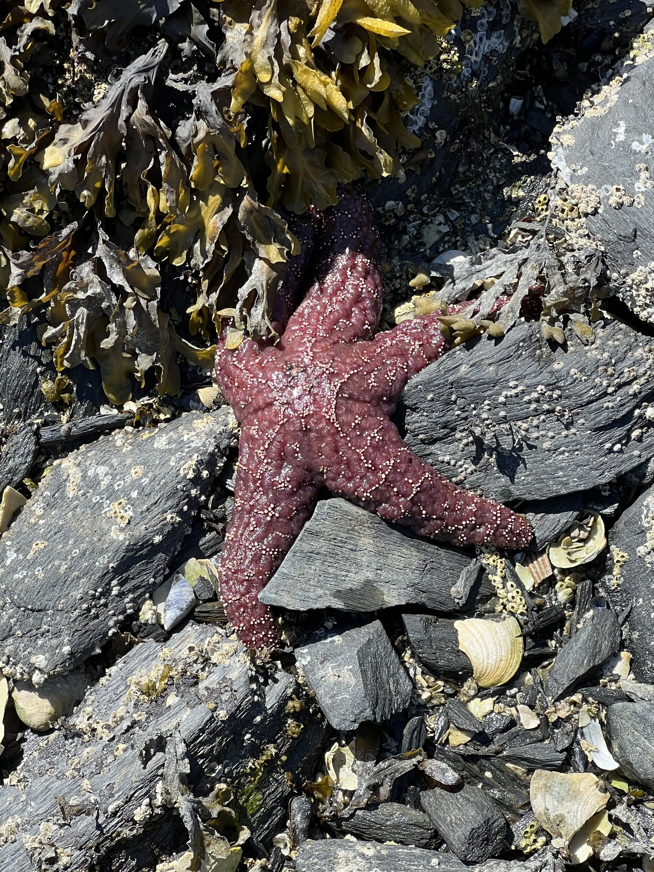 Nature’s Classroom: Opting Out Of The Status Quo