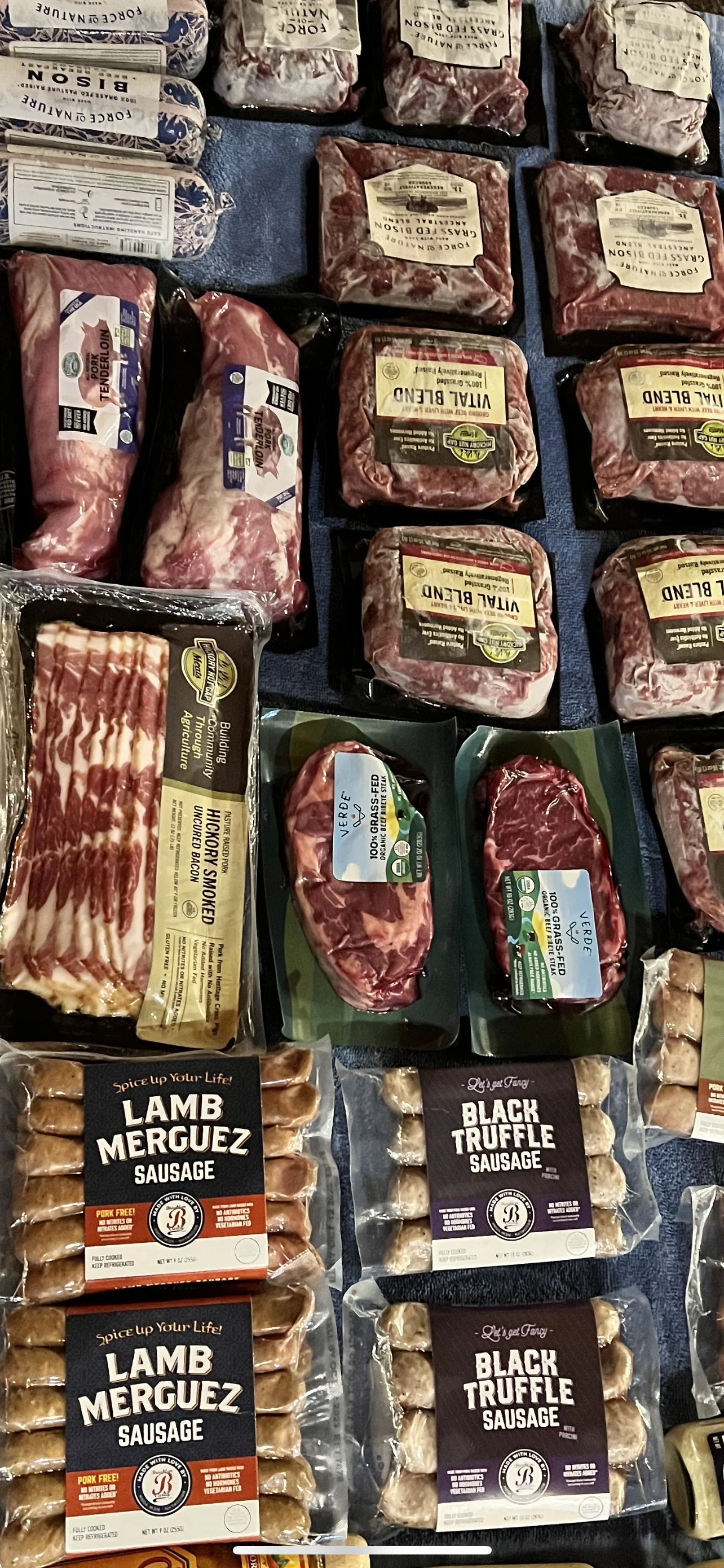 The Bastard Refugee Carnivore Experience: Phase 1B