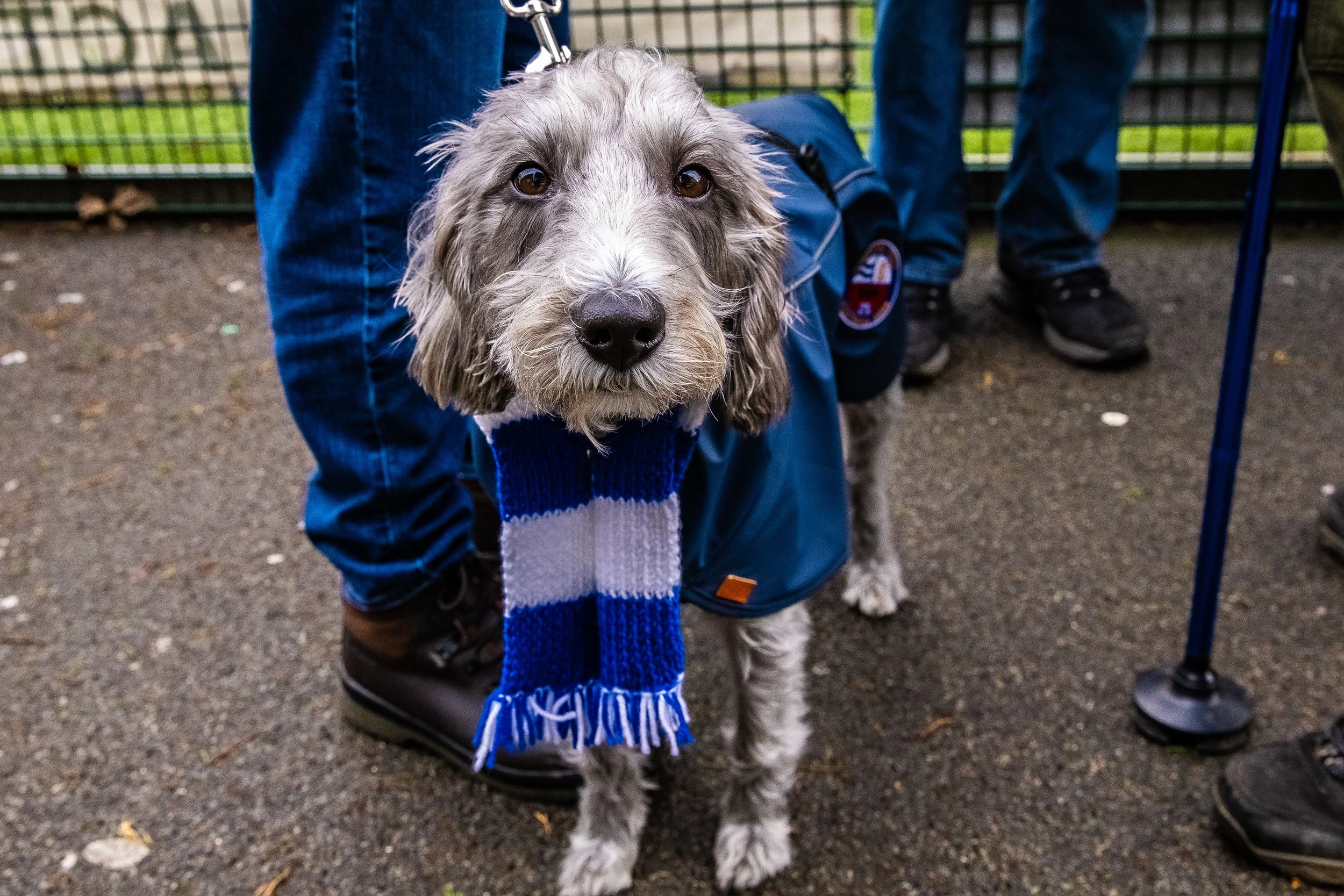 260221 NTFC v Grantham Ground Development Cup QF MD-5.jpg