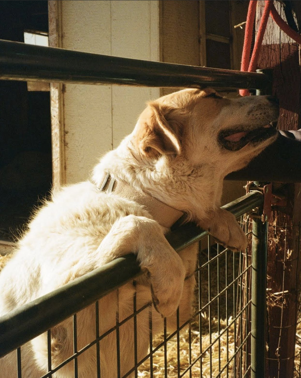 Screen Shot 2024-04-22 at 12.28.10 AM.png