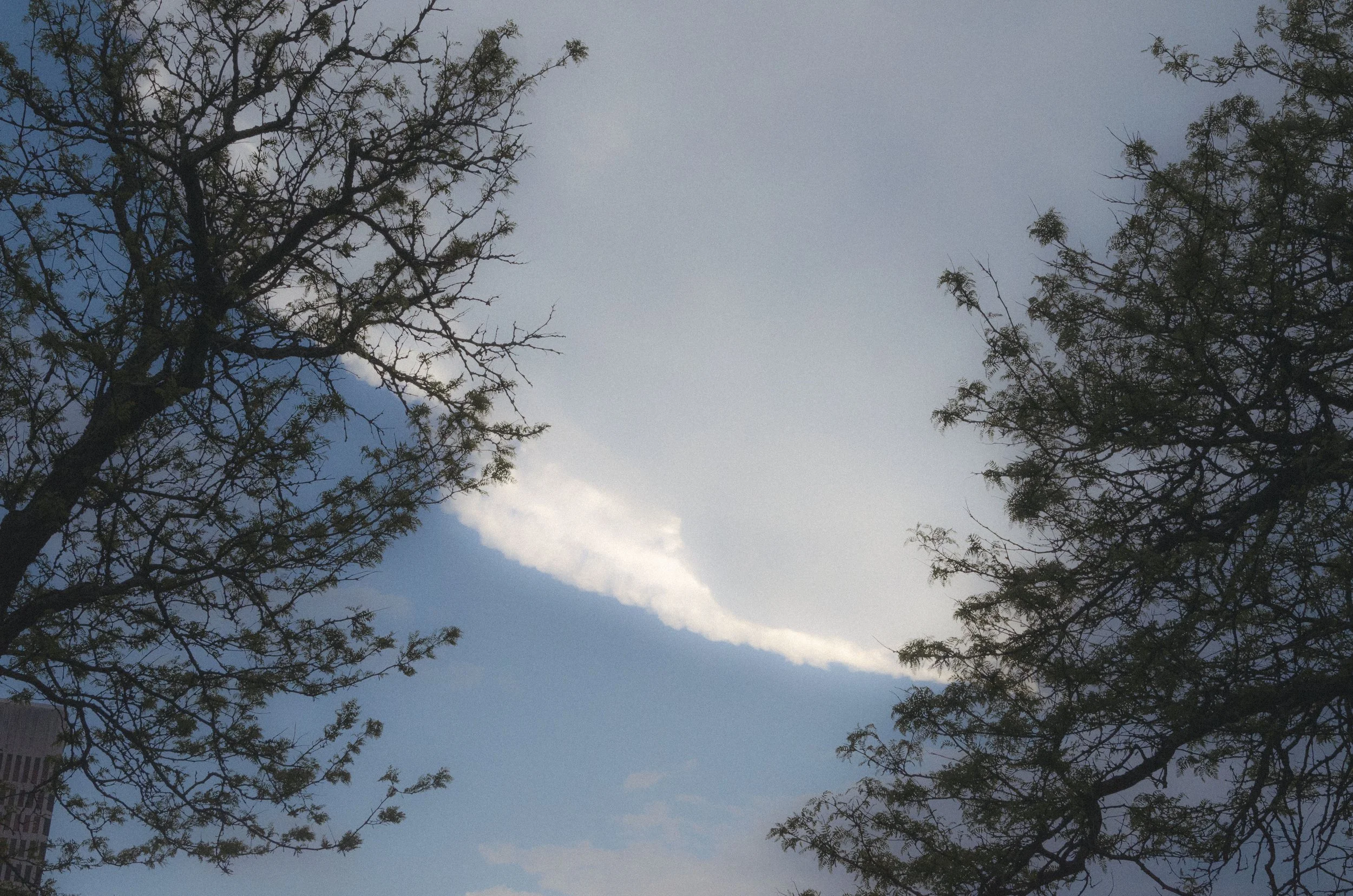cloud.jpg
