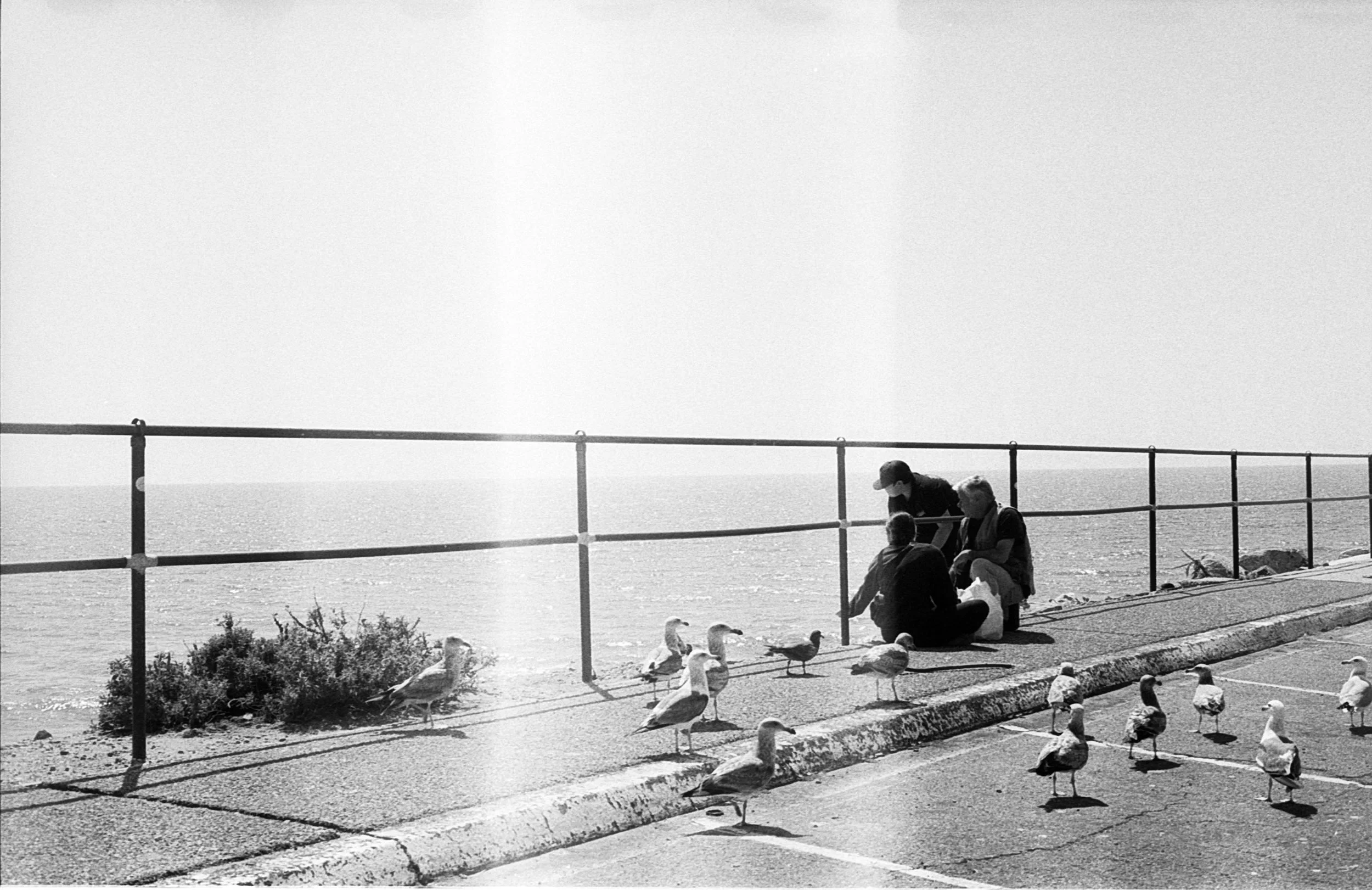 polaroid-1027.jpg