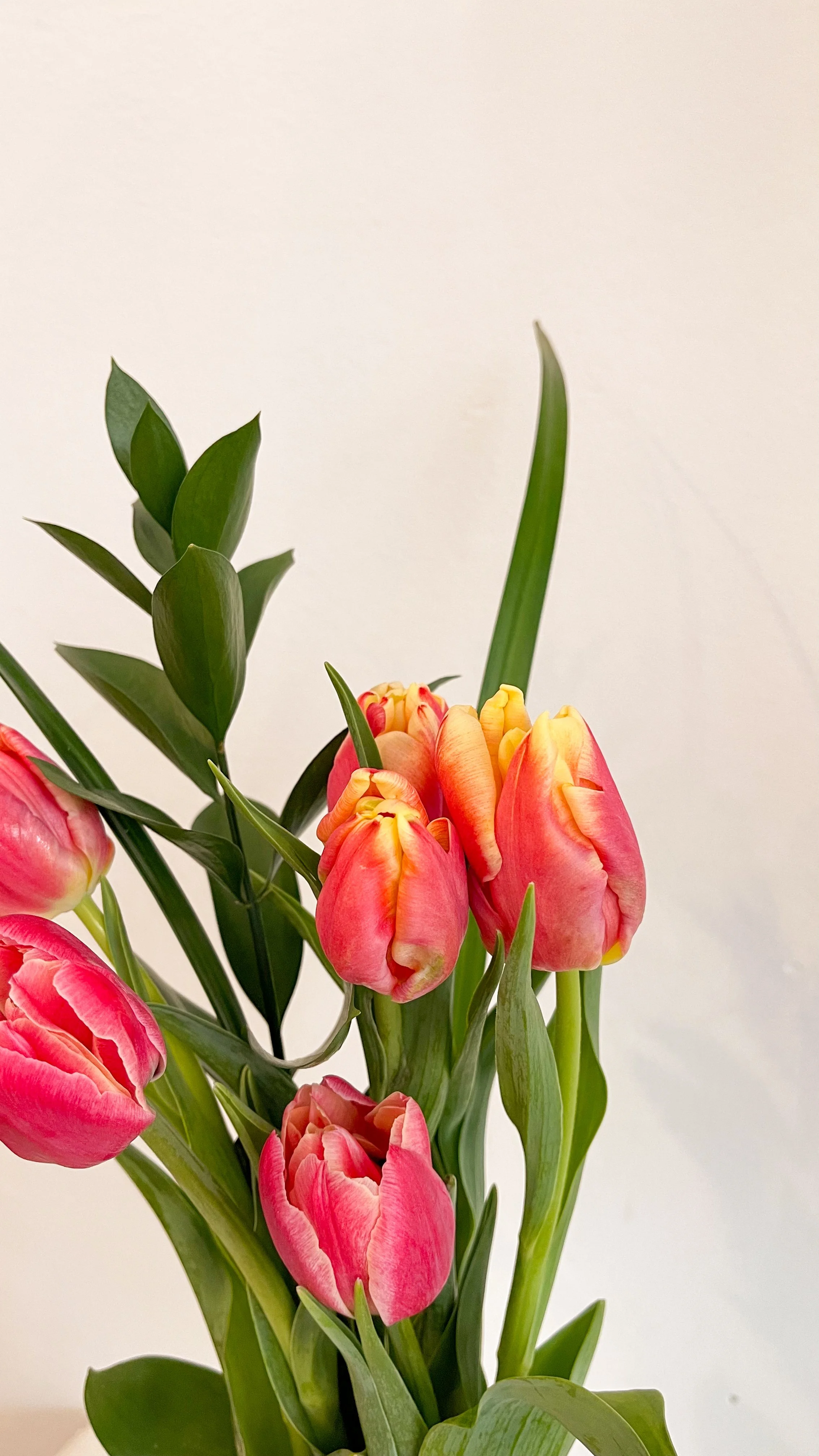 POP-UP: MONARCH BEAUTY FARM