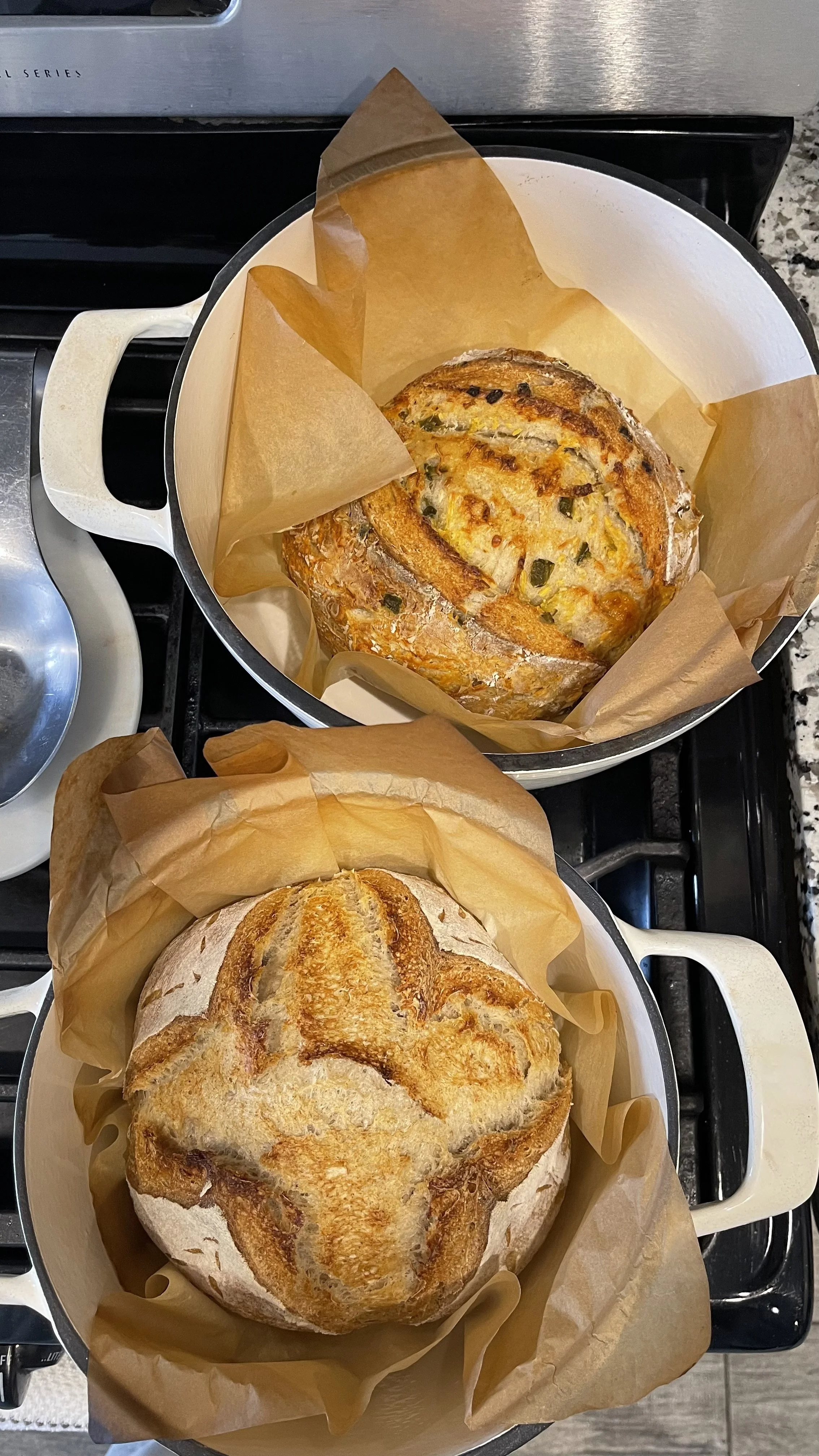 sourdough basics making workshop
