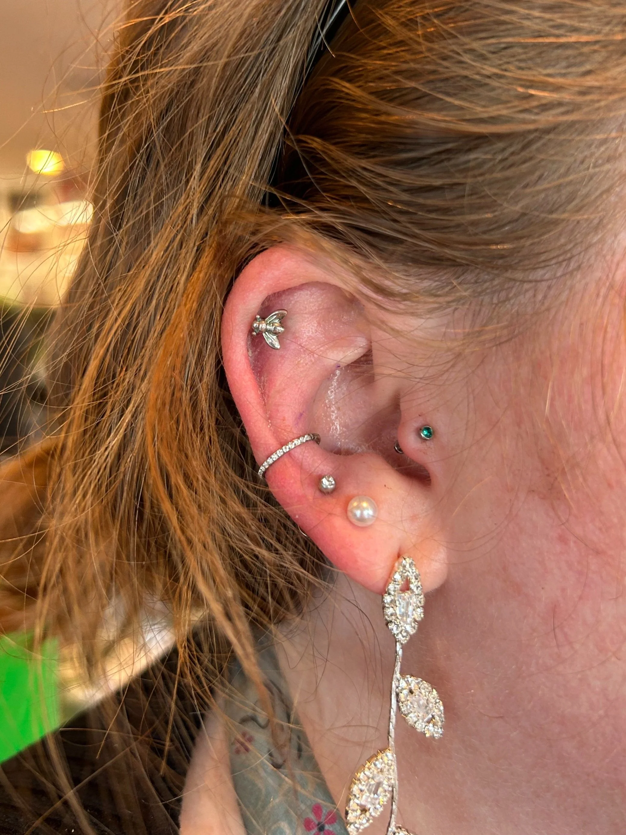 Tragus, conch piercing