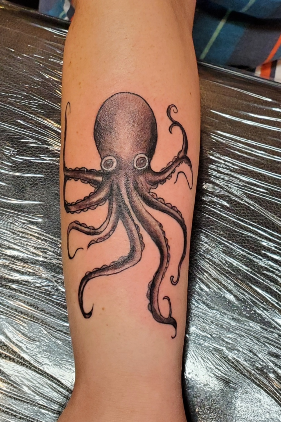 Octopus forearm tattoo done by a Redding tattoo artist