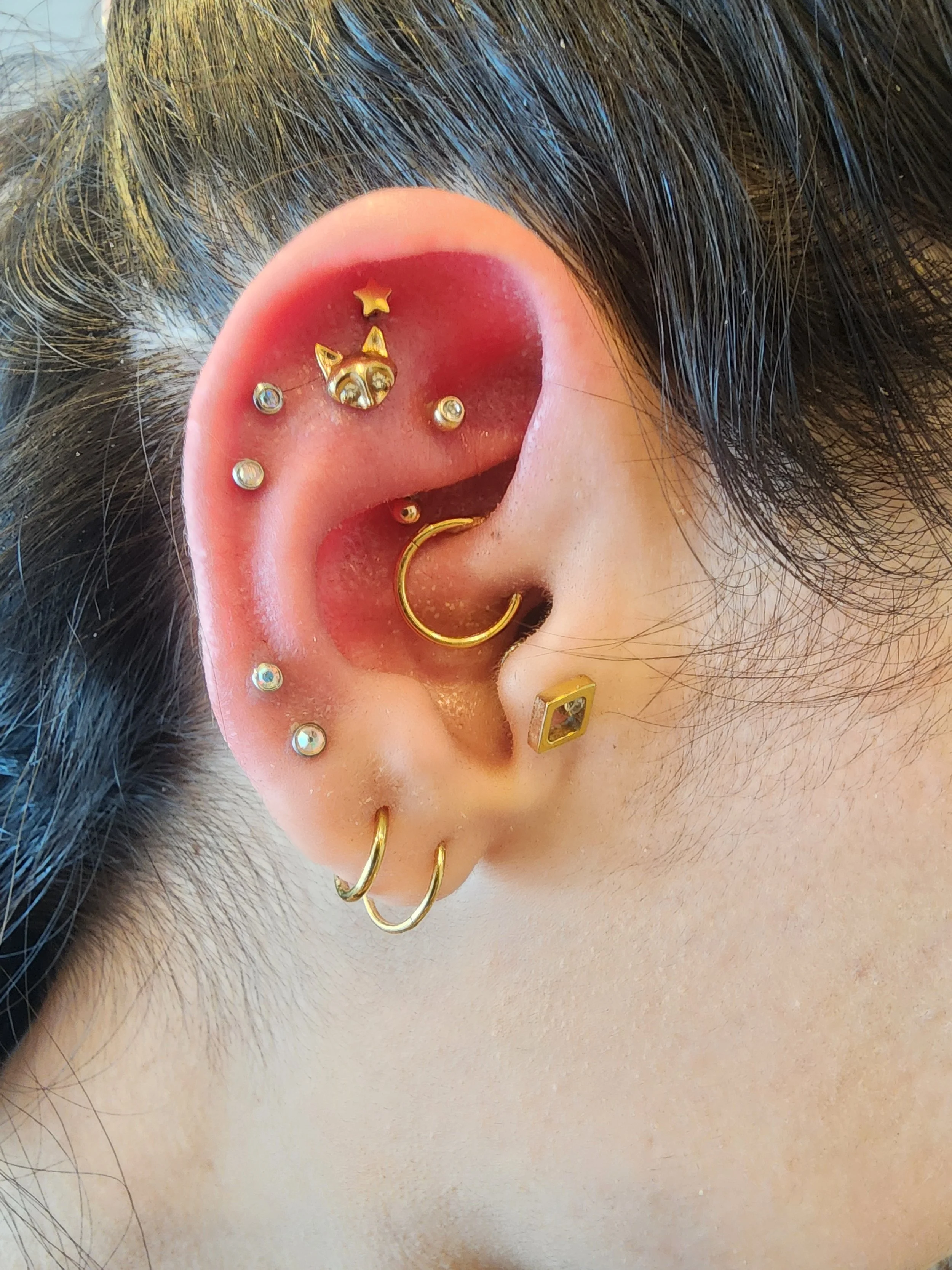 A Redding piercing store's client showing close-up of a person's ear with multiple gold and silver earrings, including a hoop, a letter-shaped earring, and a variety of small decorative studs, some with rhinestones, and a cat-shaped stud at the top.