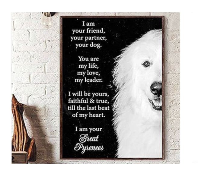 Screenshot 2025-06-26 at 1.55.56 PM.png