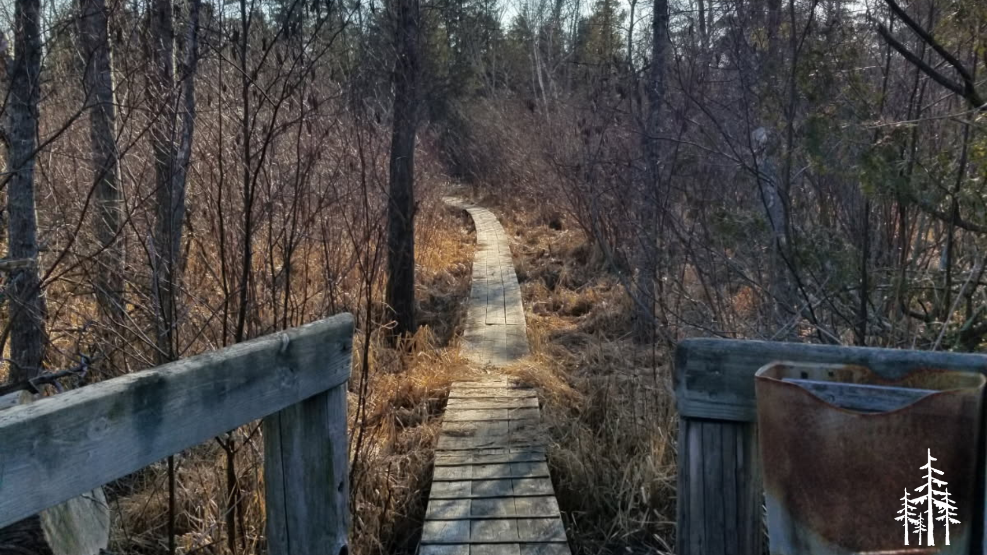 Trail Walking: Reffitt Nature Preserve