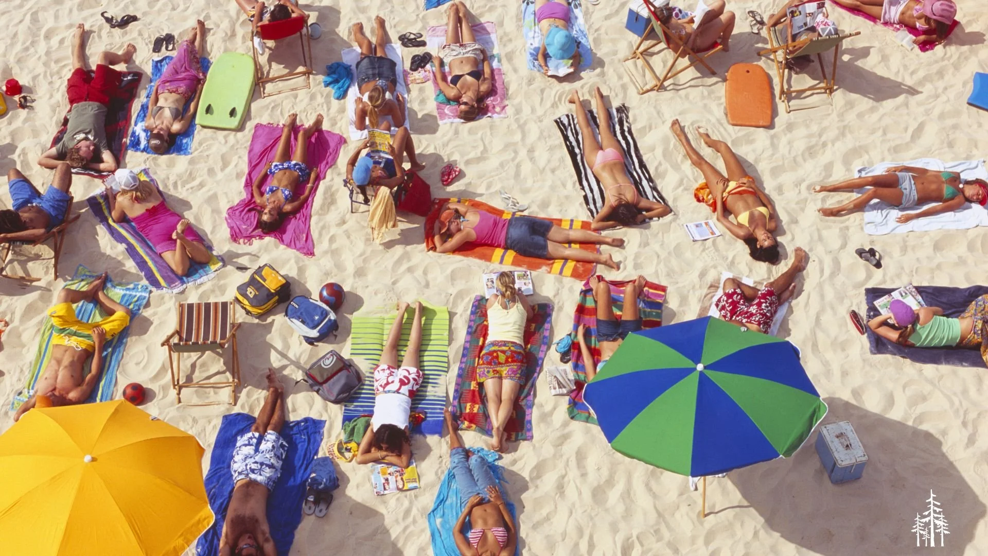 Evergreen’s Beach Day!