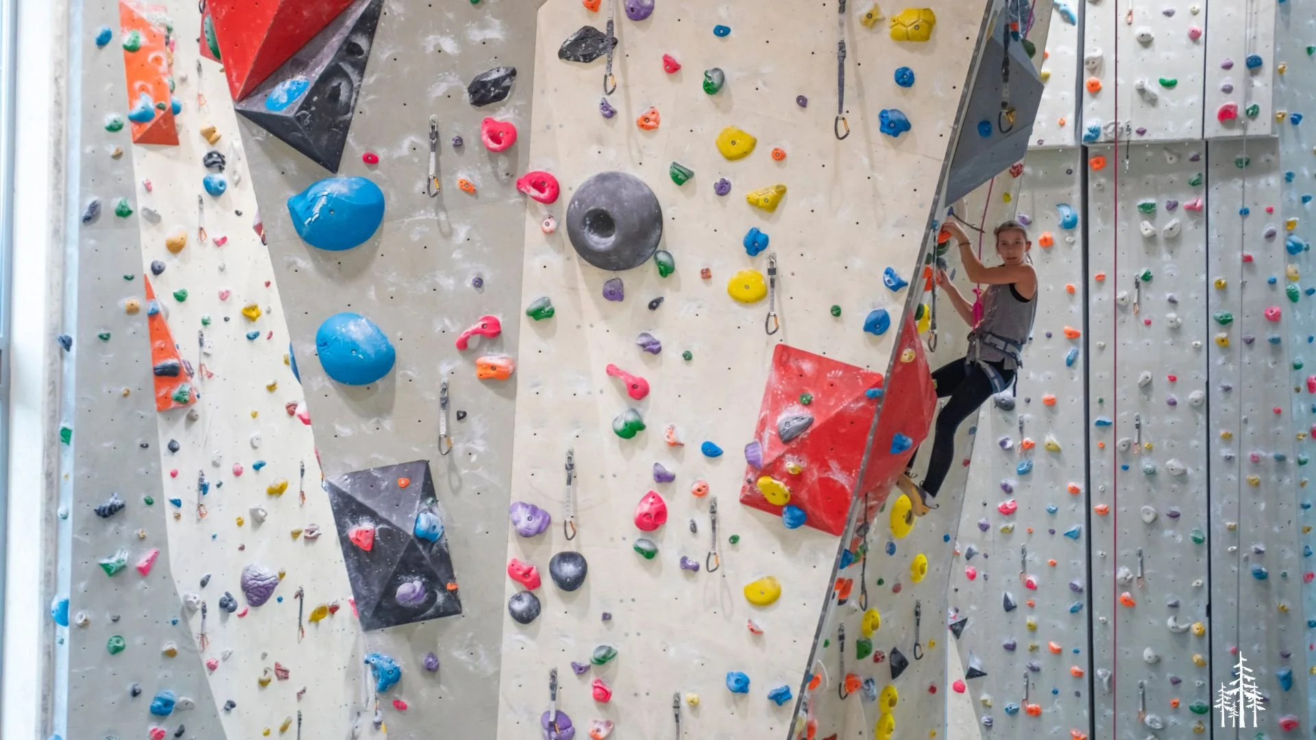 Climbing at ELEV8