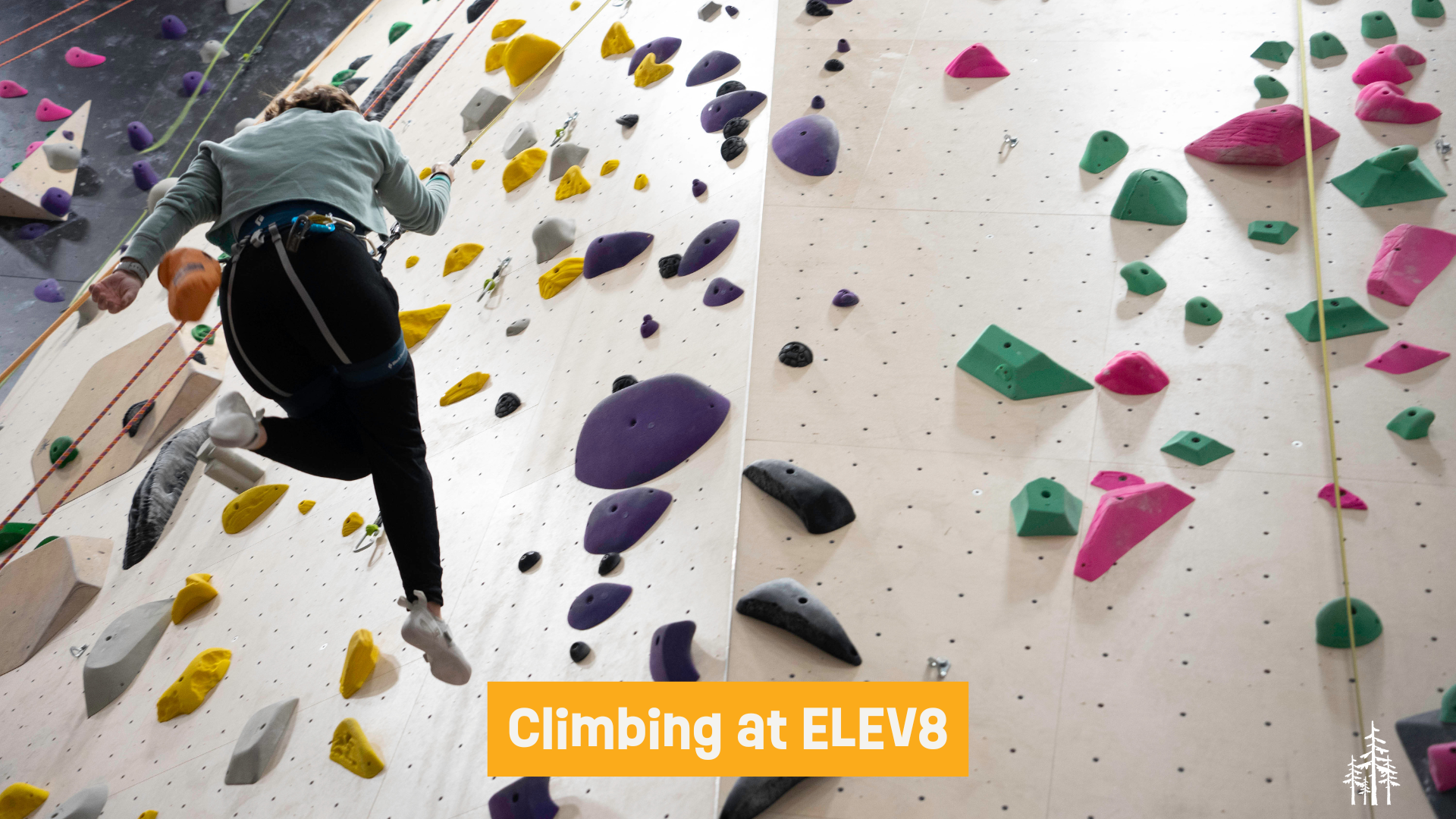 Climbing at ELEV8 