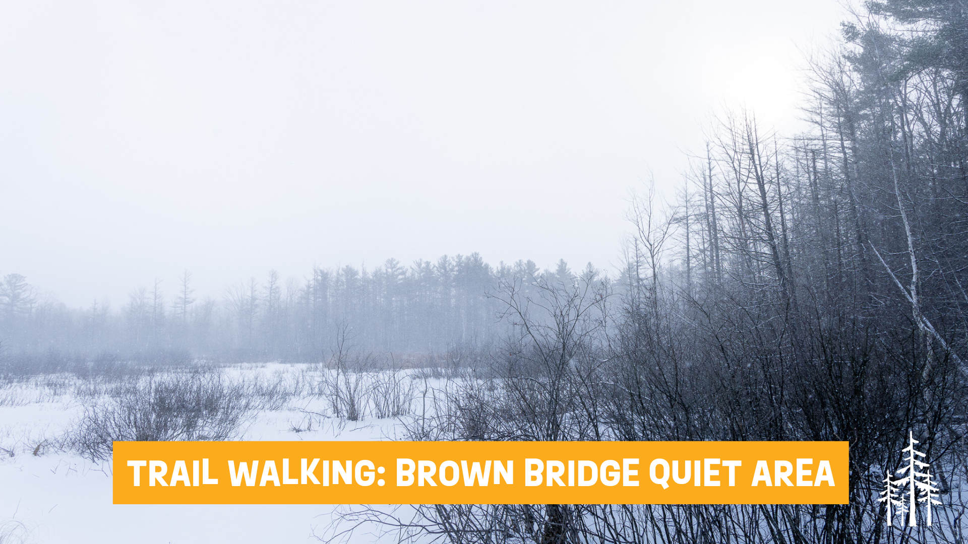 Trail Walking: Brown Bridge Quiet Area 